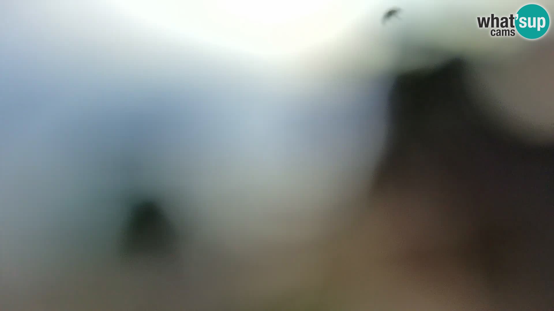 Spletna kamera plaža Borik Rovinj