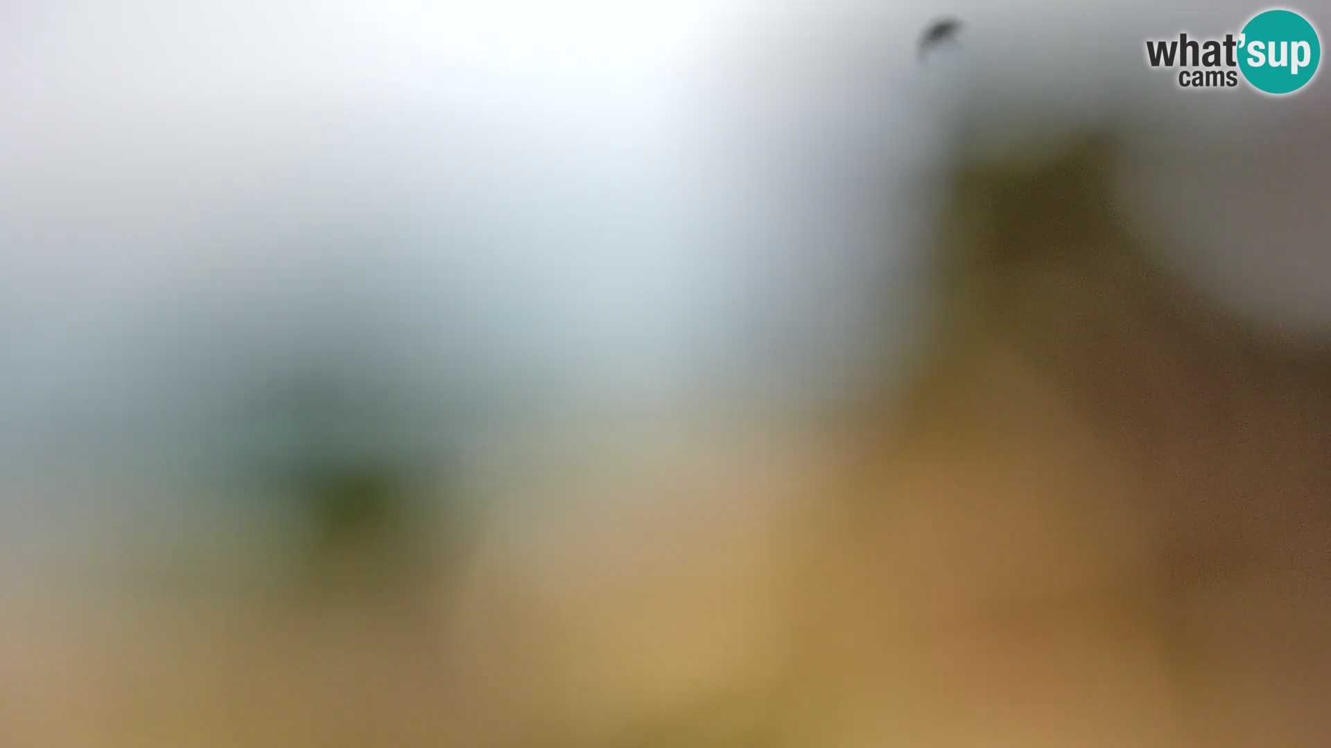 Spletna kamera plaža Borik Rovinj