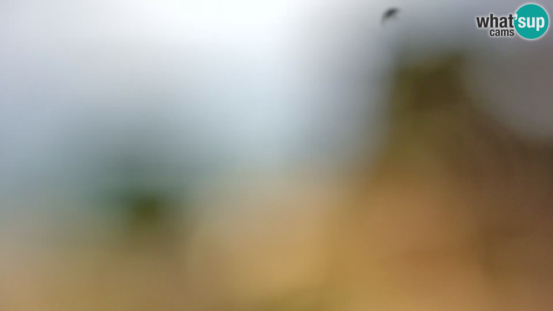 Camera en vivo Borik playa Rovinj – Istria