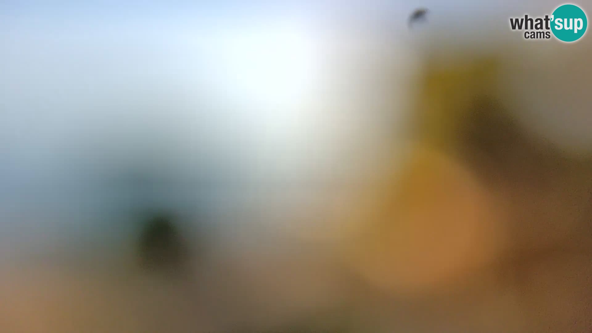 Webcam Spiaggia Borik a Rovigno – Istria