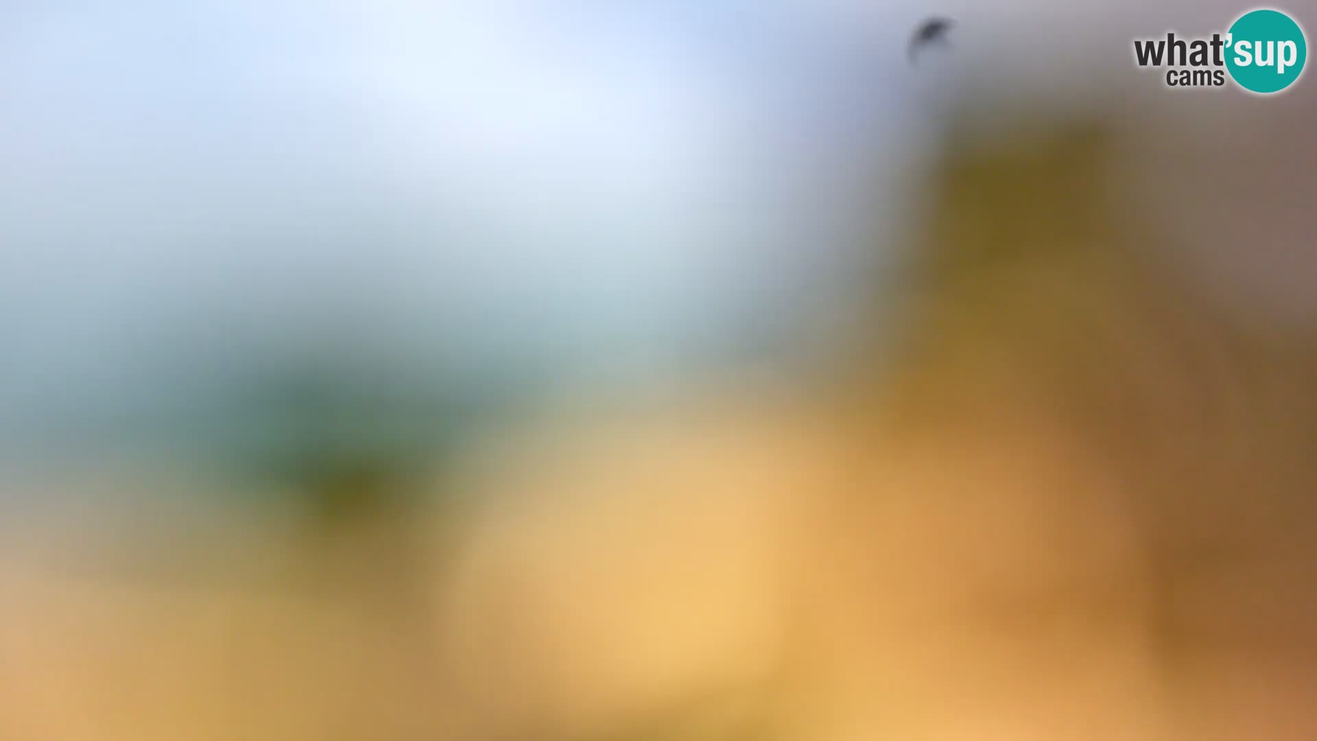 Spletna kamera plaža Borik Rovinj