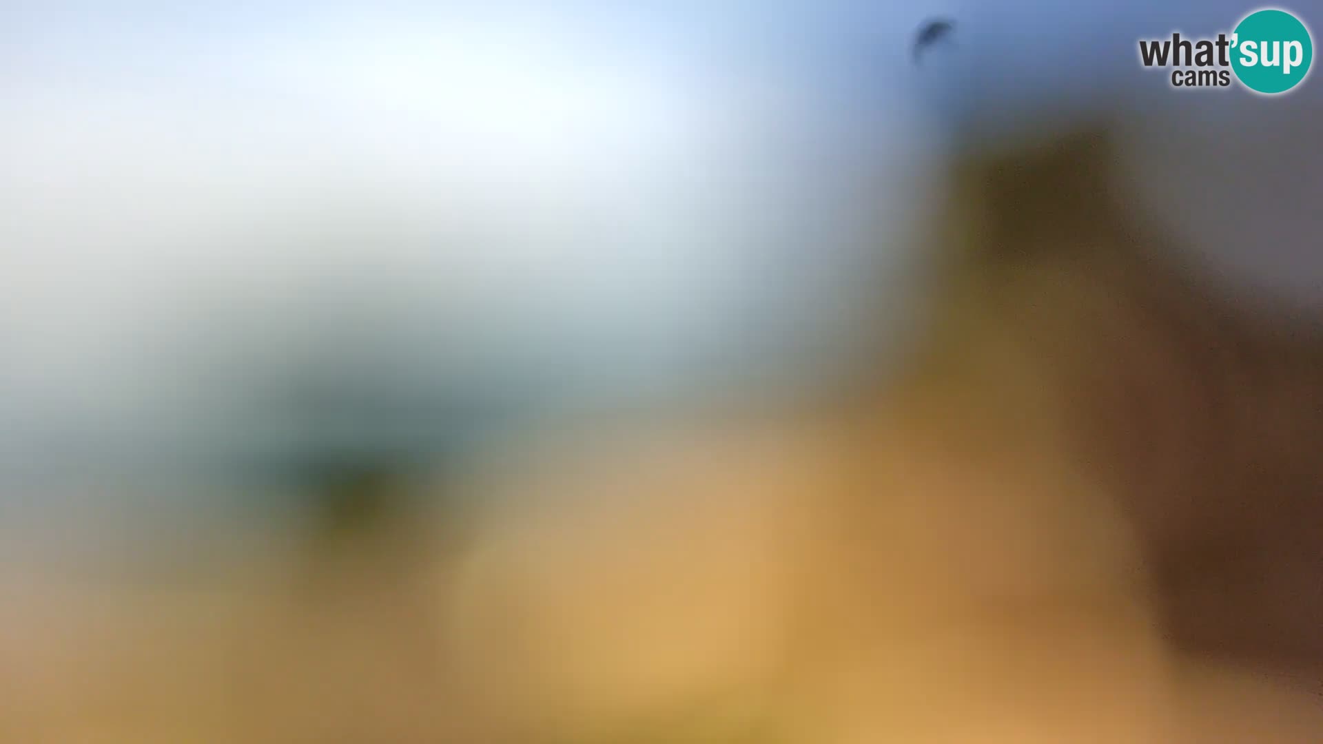 Webcam Spiaggia Borik a Rovigno – Istria