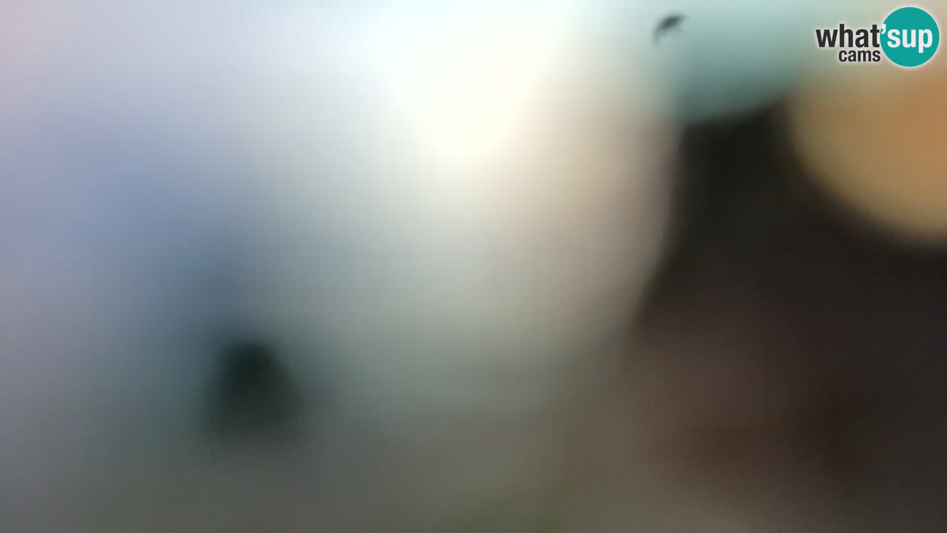 Spletna kamera plaža Borik Rovinj