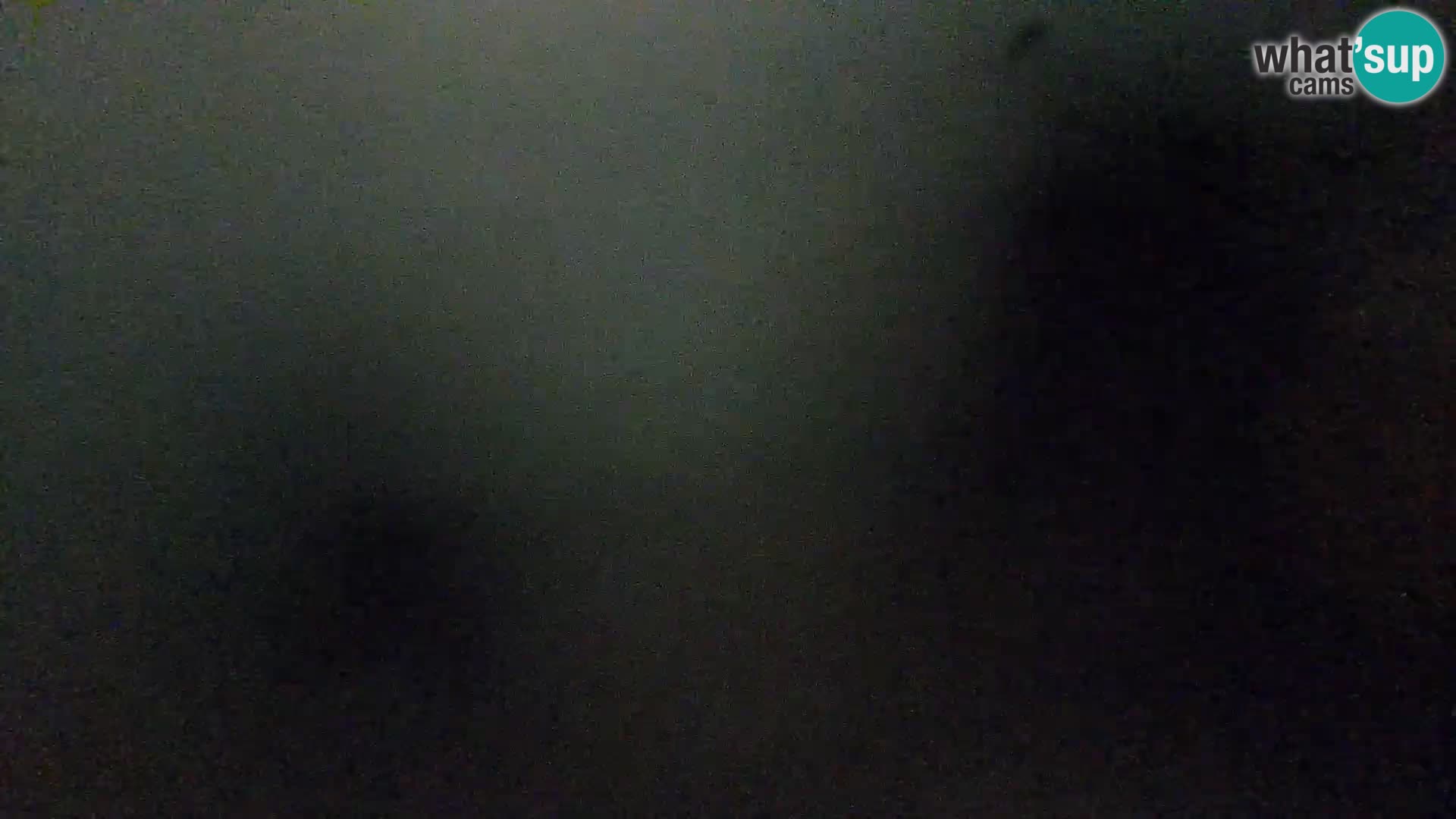 Webcam Spiaggia Borik a Rovigno – Istria