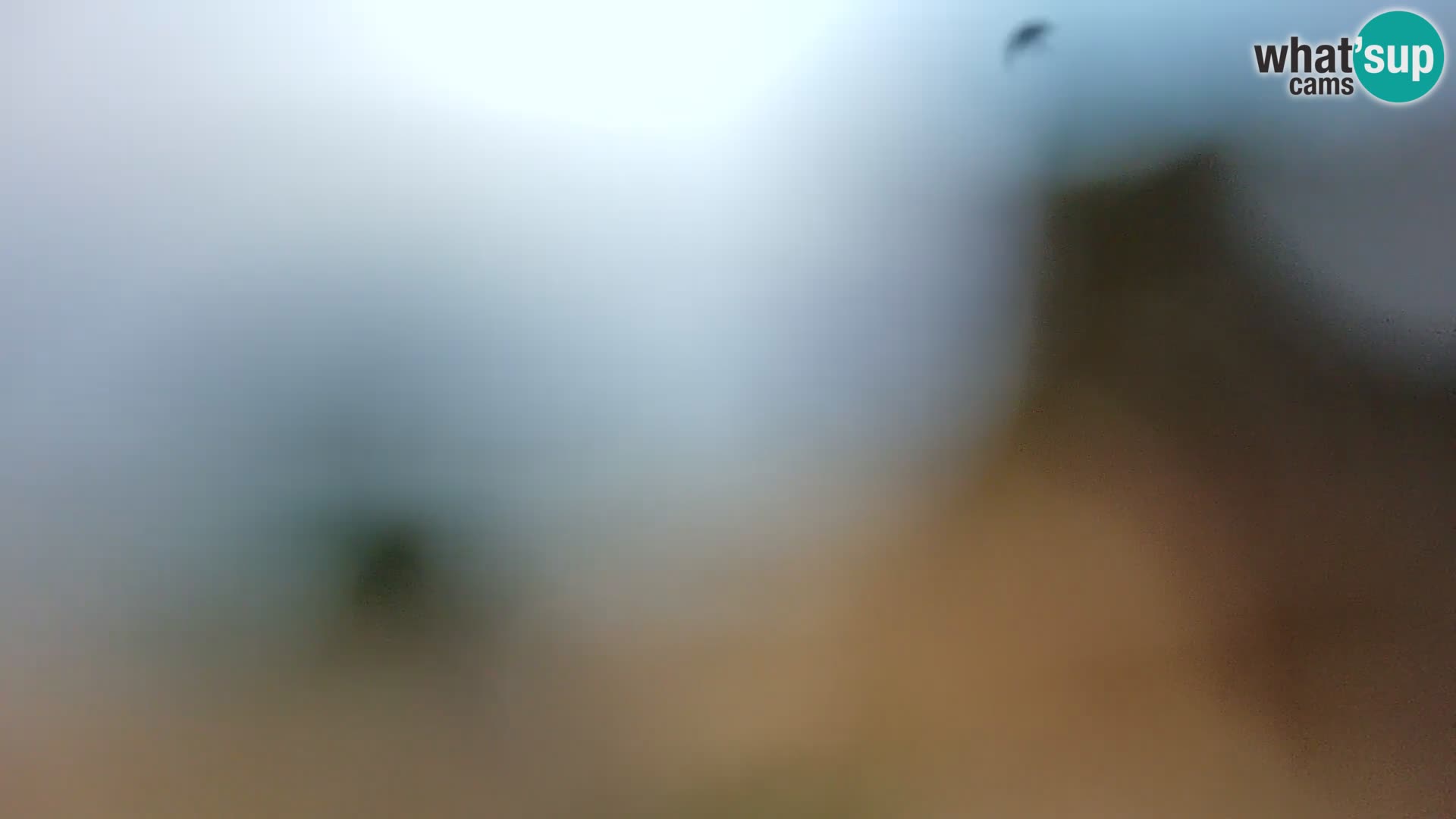 Webcam Spiaggia Borik a Rovigno – Istria