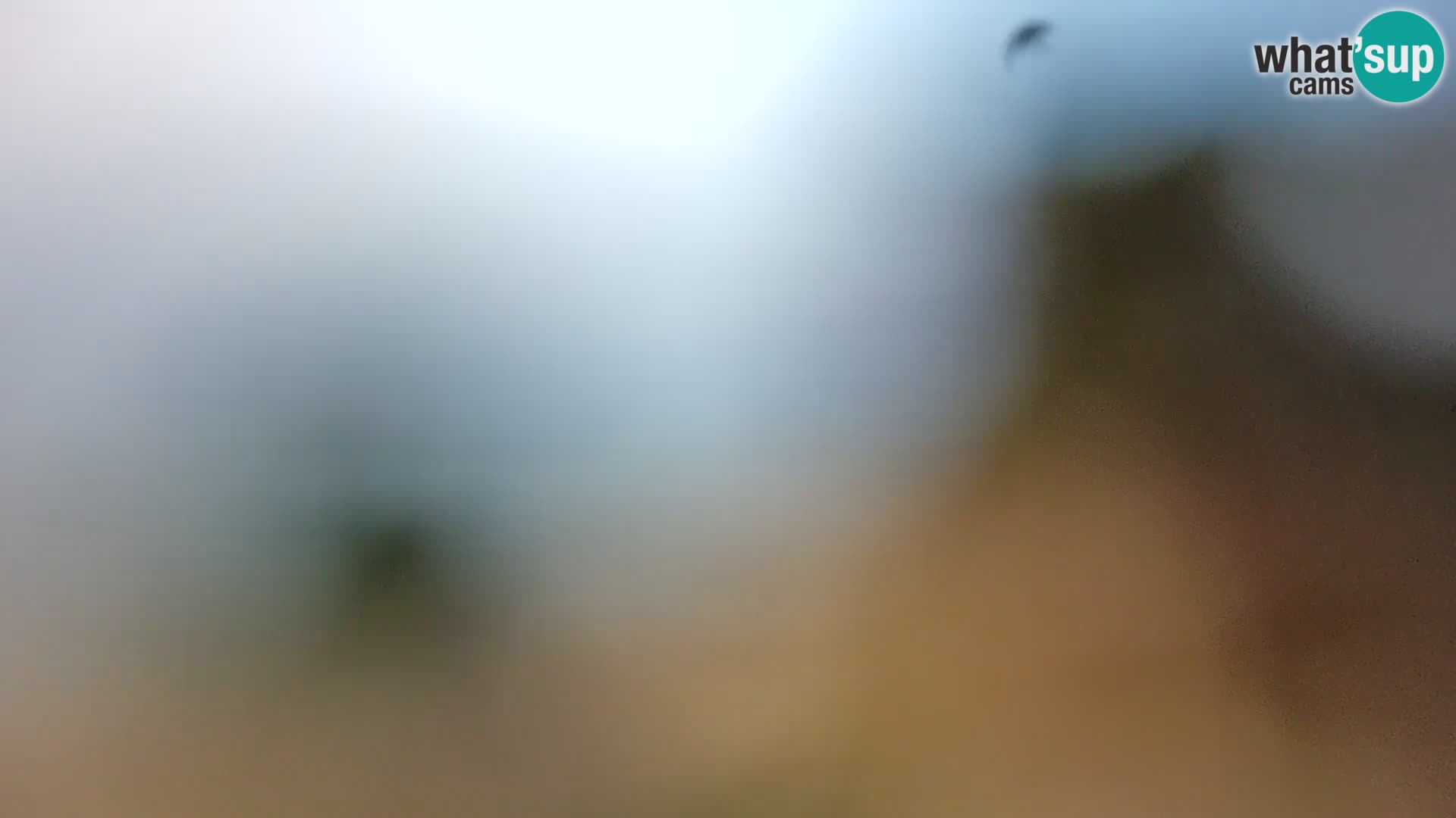 Spletna kamera plaža Borik Rovinj