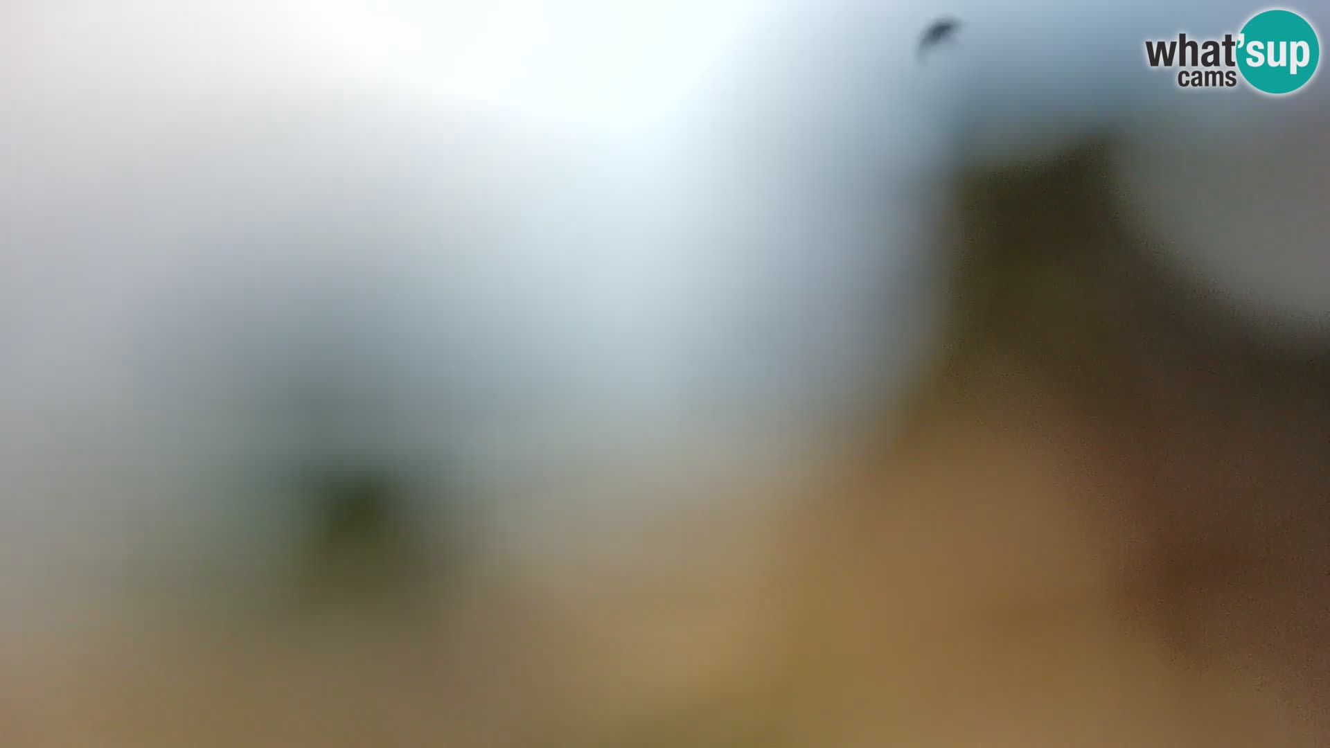 Spletna kamera plaža Borik Rovinj