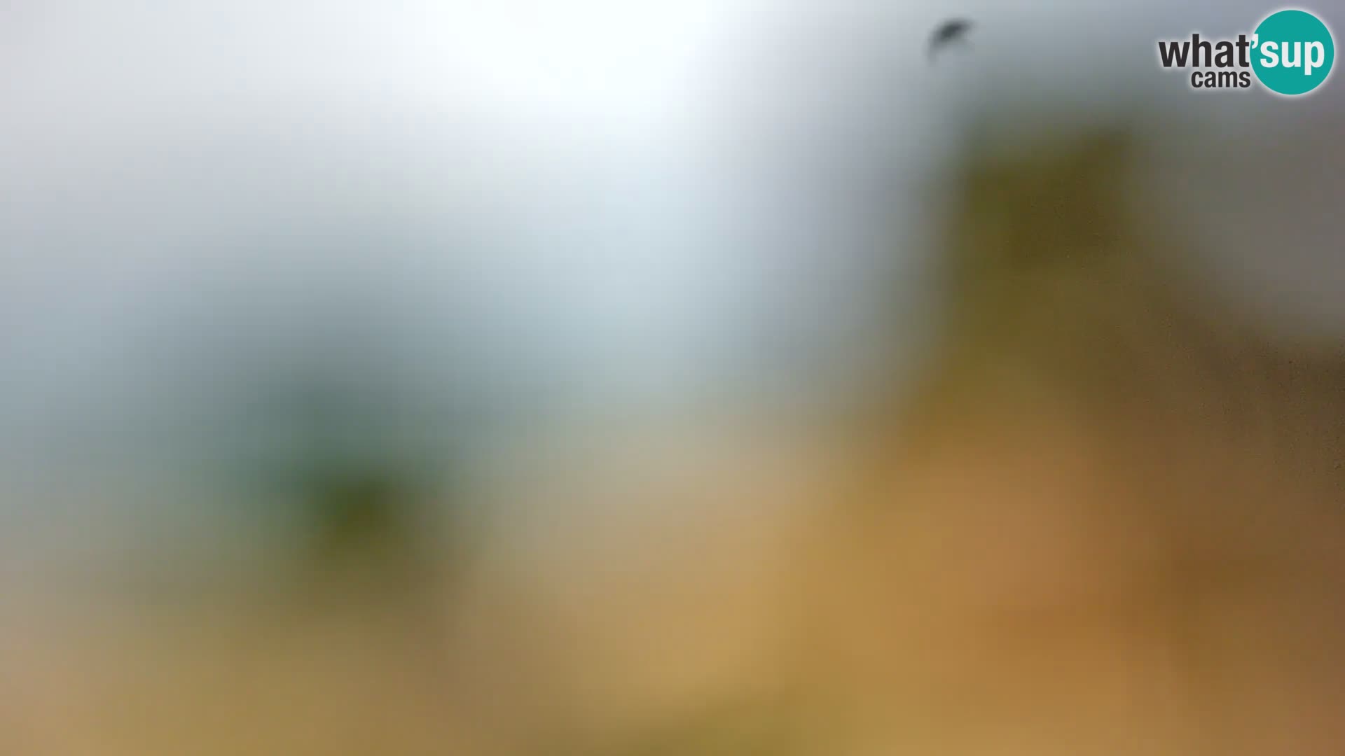 Webcam Borik beach Rovinj – Istria