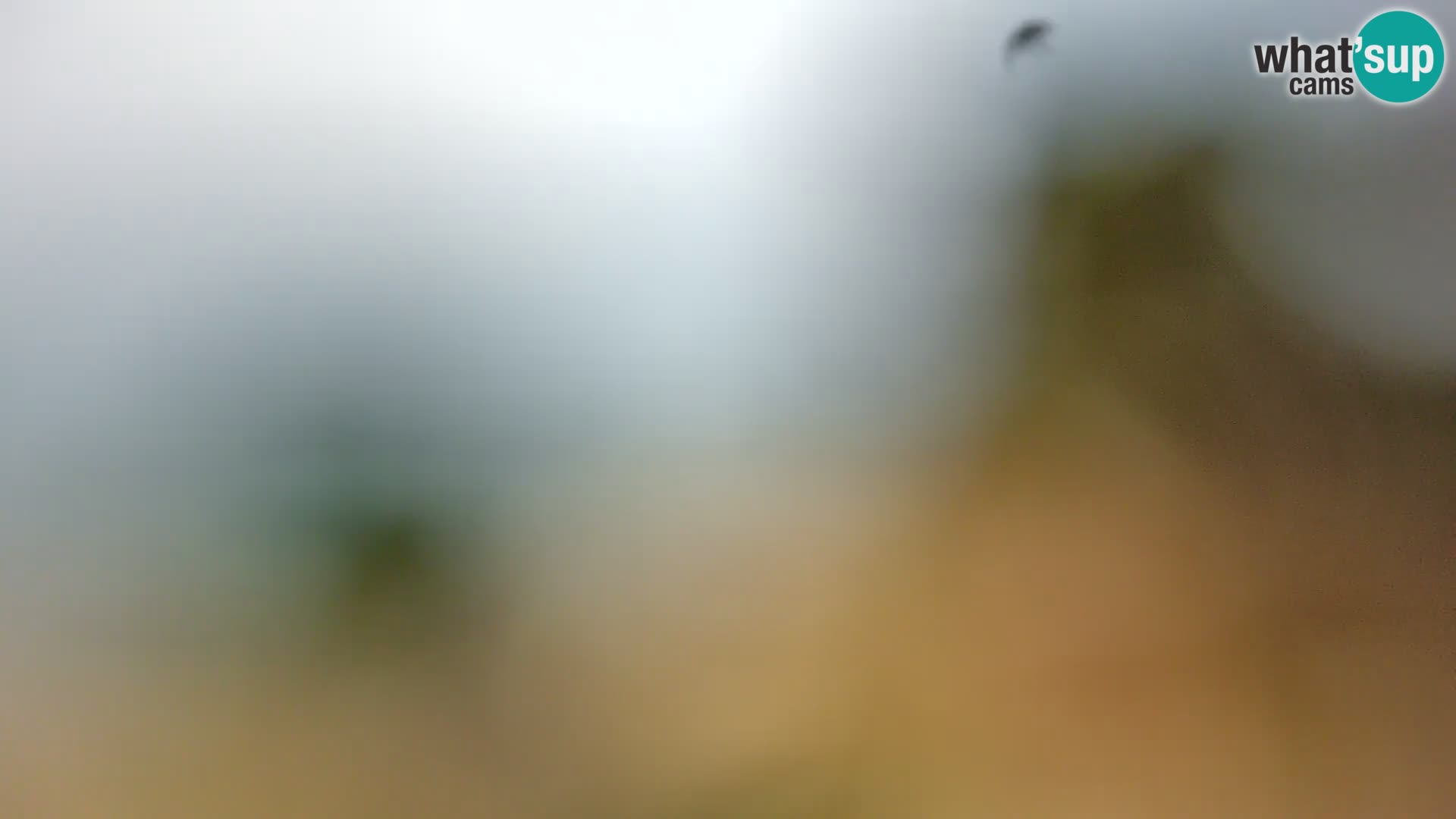 Camera en vivo Borik playa Rovinj – Istria