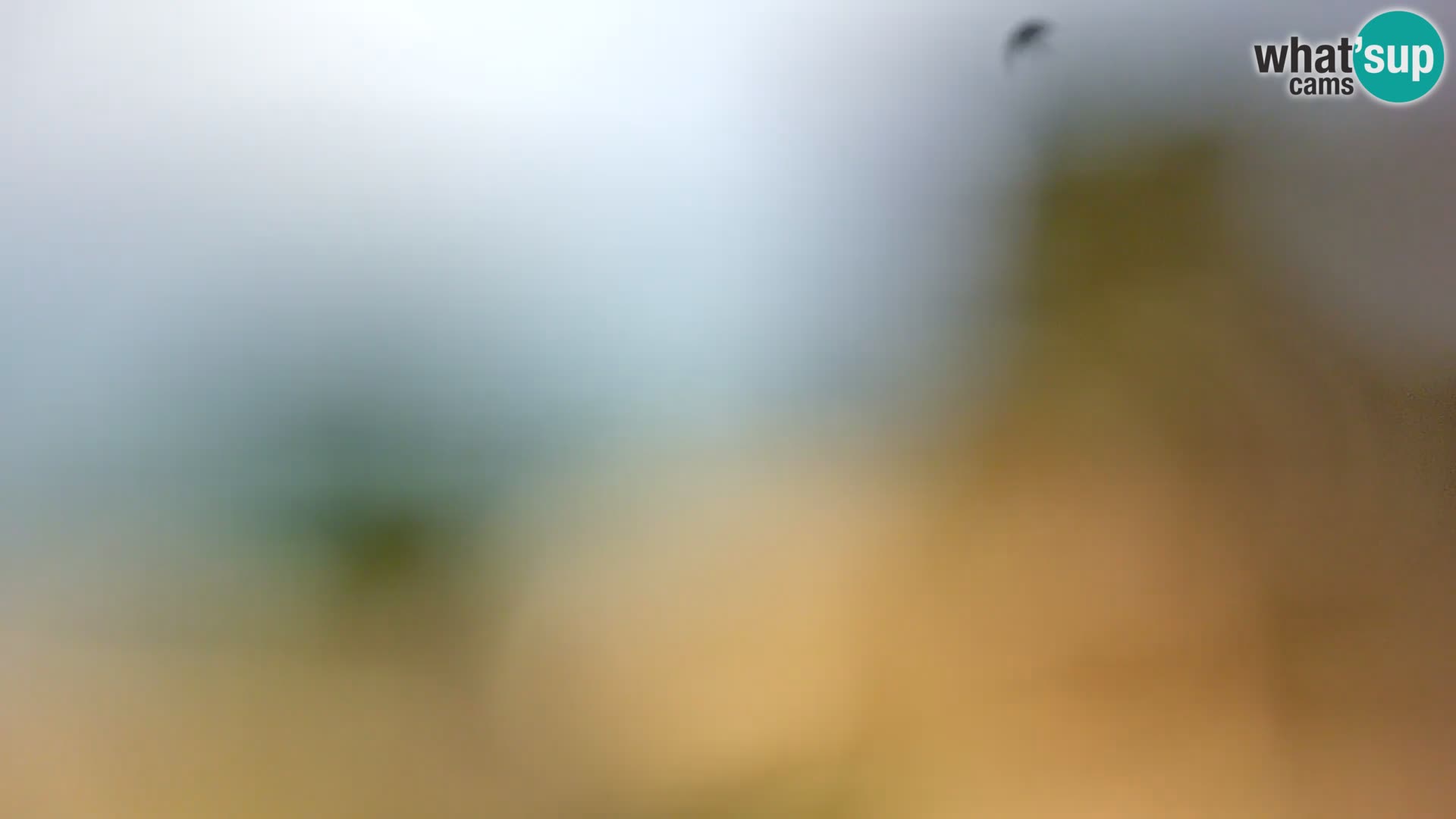 Spletna kamera plaža Borik Rovinj