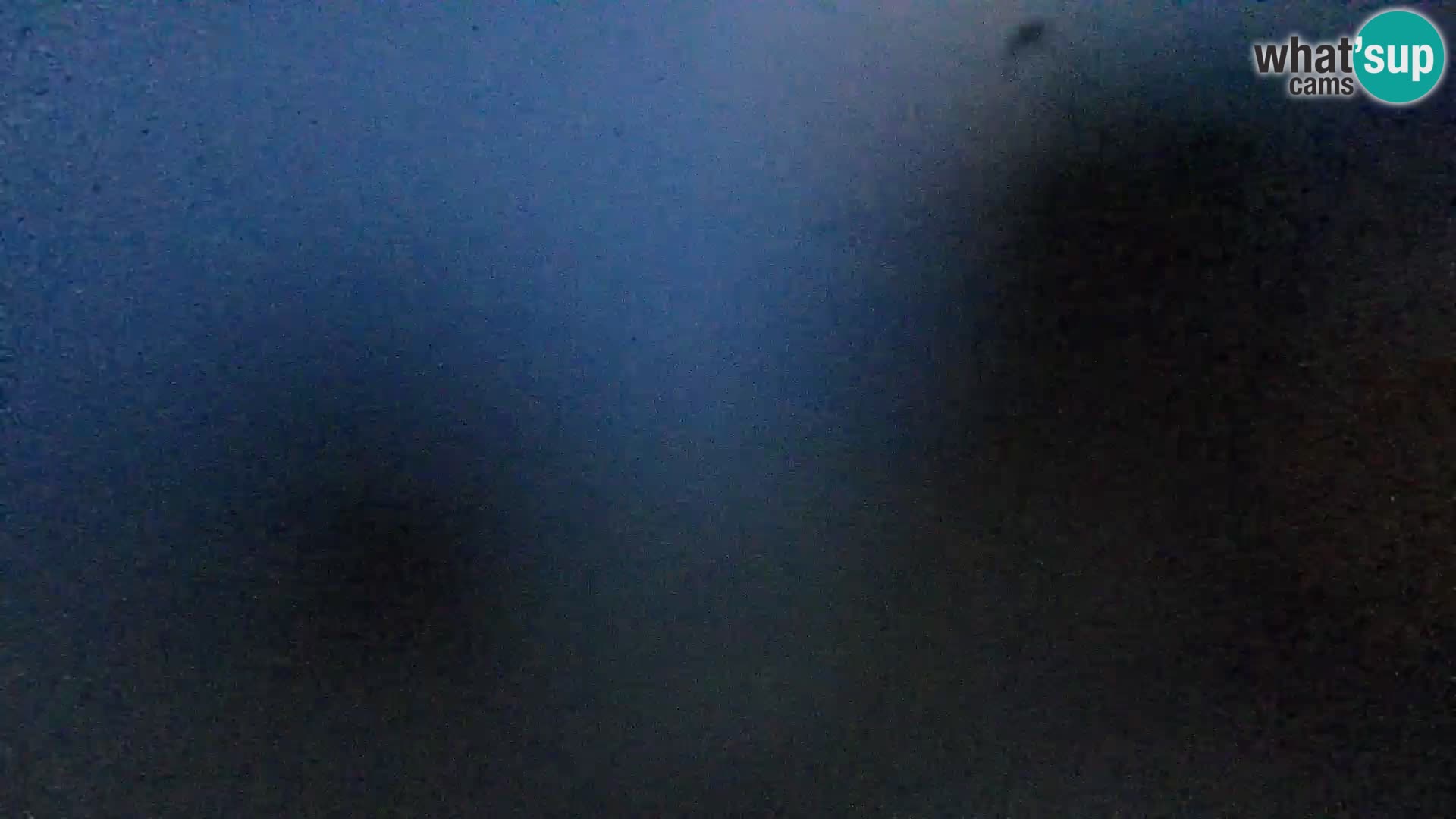 Webcam Spiaggia Borik a Rovigno – Istria