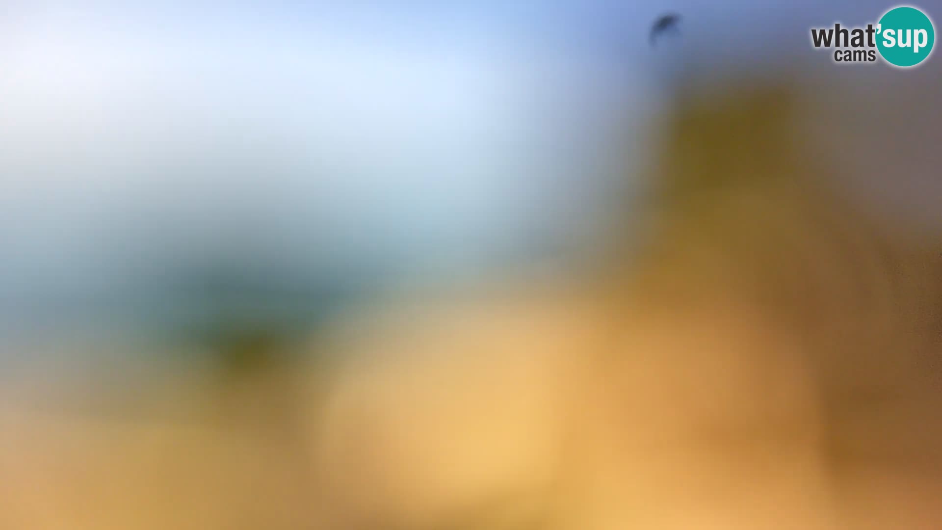 Webcam Spiaggia Borik a Rovigno – Istria