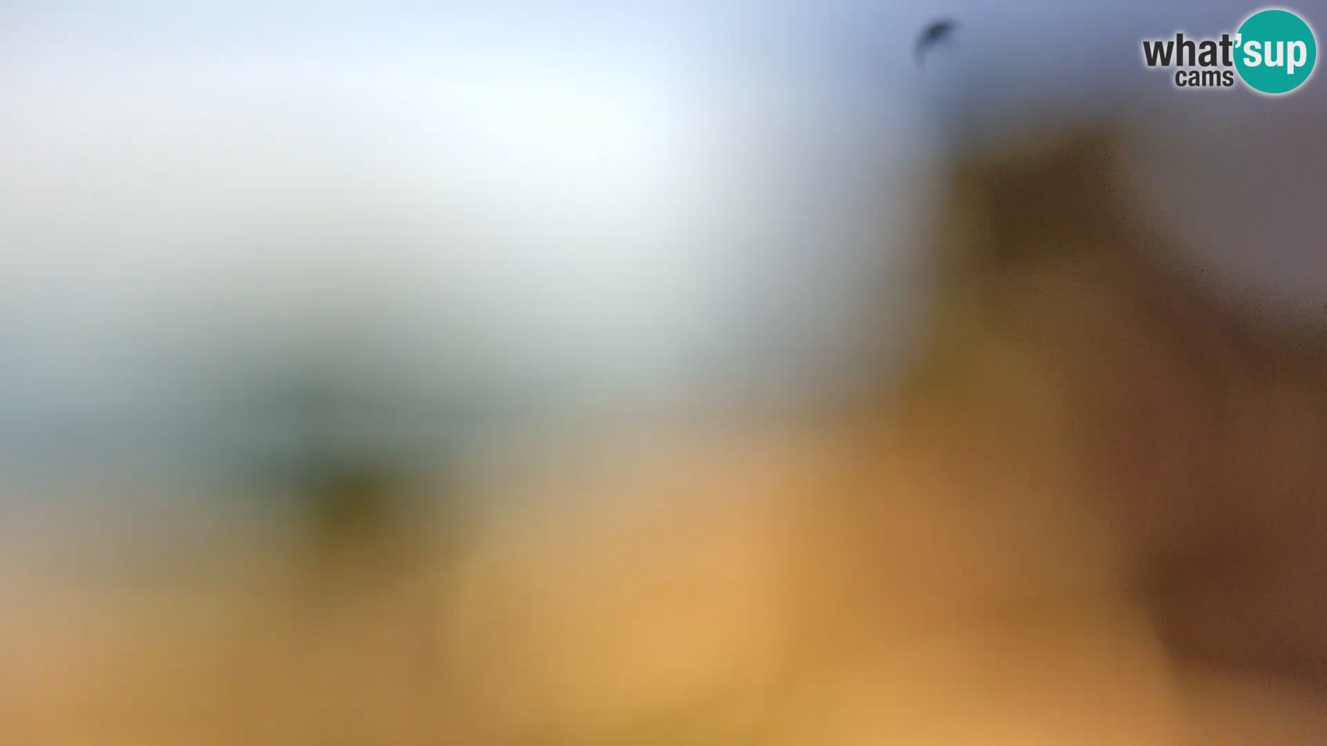 Webcam Spiaggia Borik a Rovigno – Istria