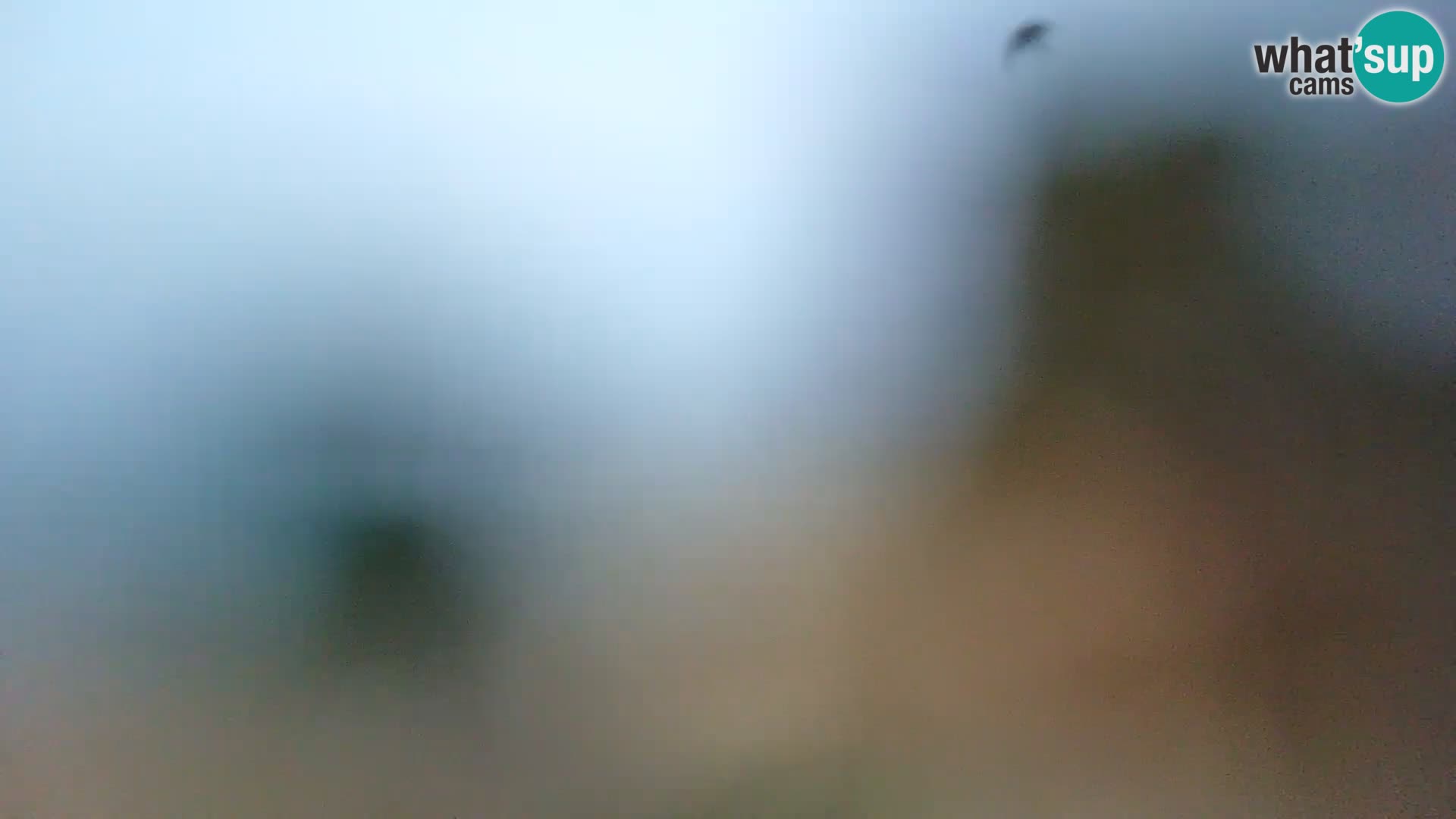 Webcam Borik beach Rovinj – Istria