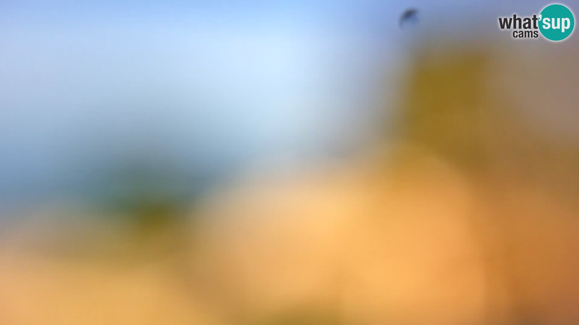 Webcam Spiaggia Borik a Rovigno – Istria