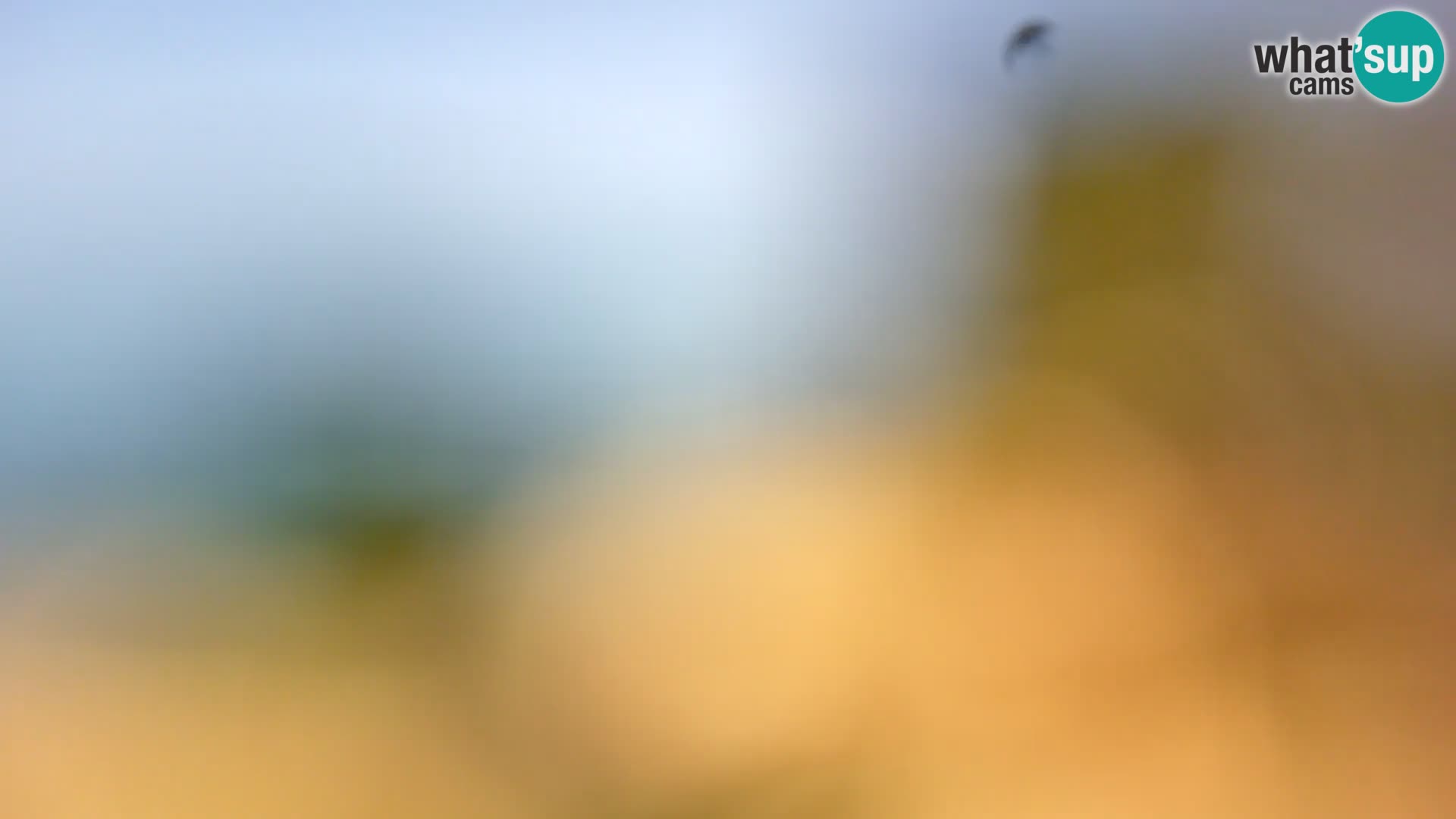 Webcam Spiaggia Borik a Rovigno – Istria