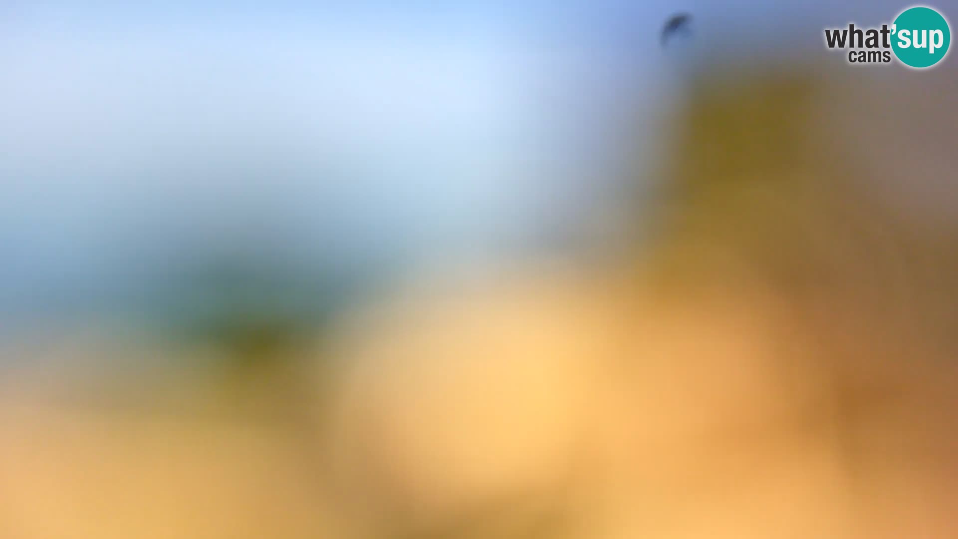 Camera en vivo Borik playa Rovinj – Istria