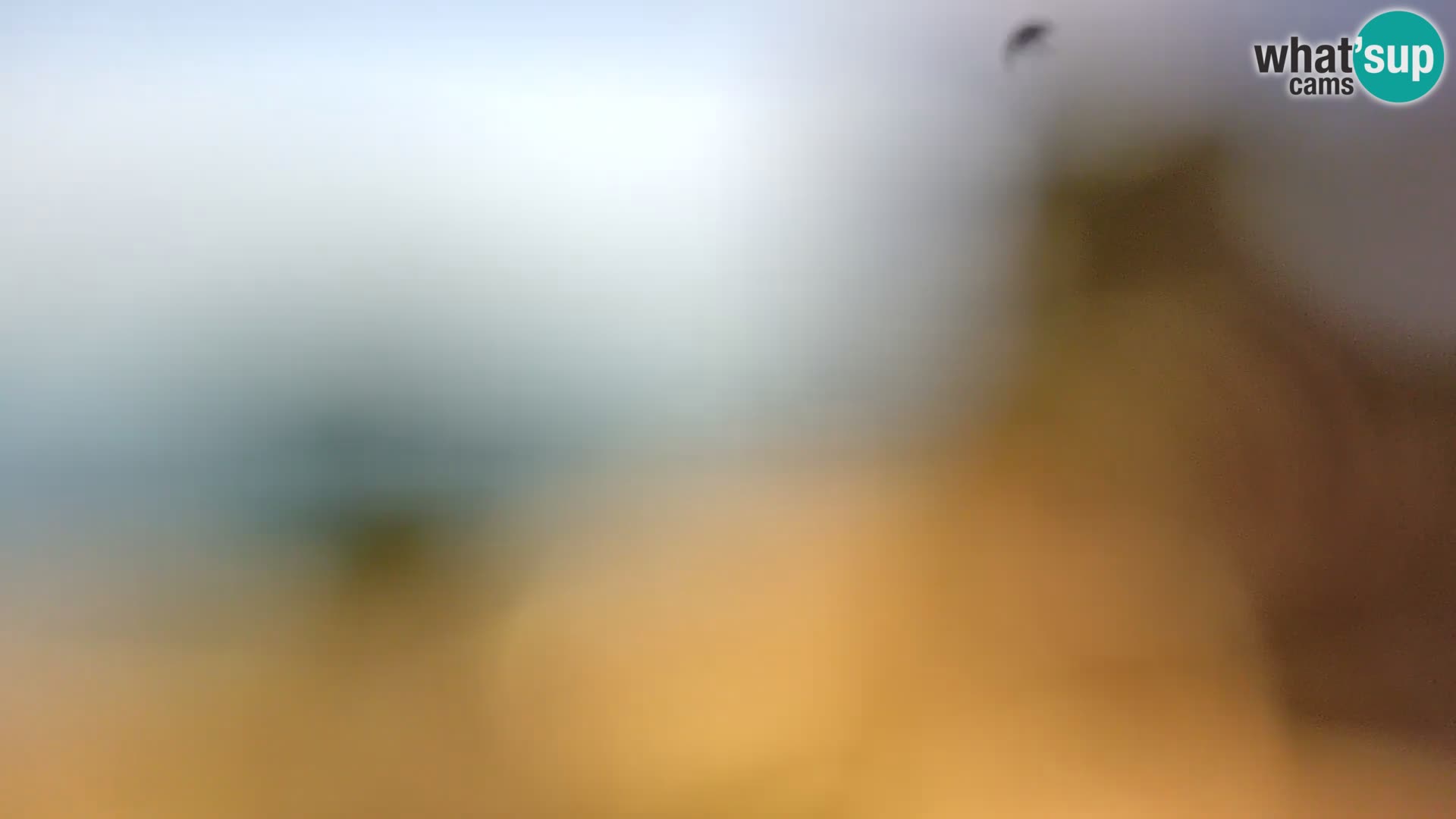 Spletna kamera plaža Borik Rovinj