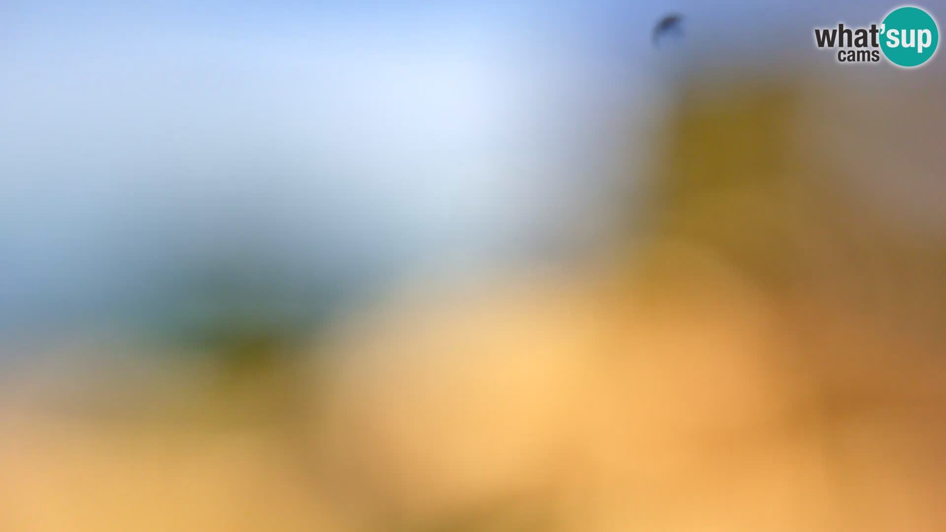 Webcam Spiaggia Borik a Rovigno – Istria