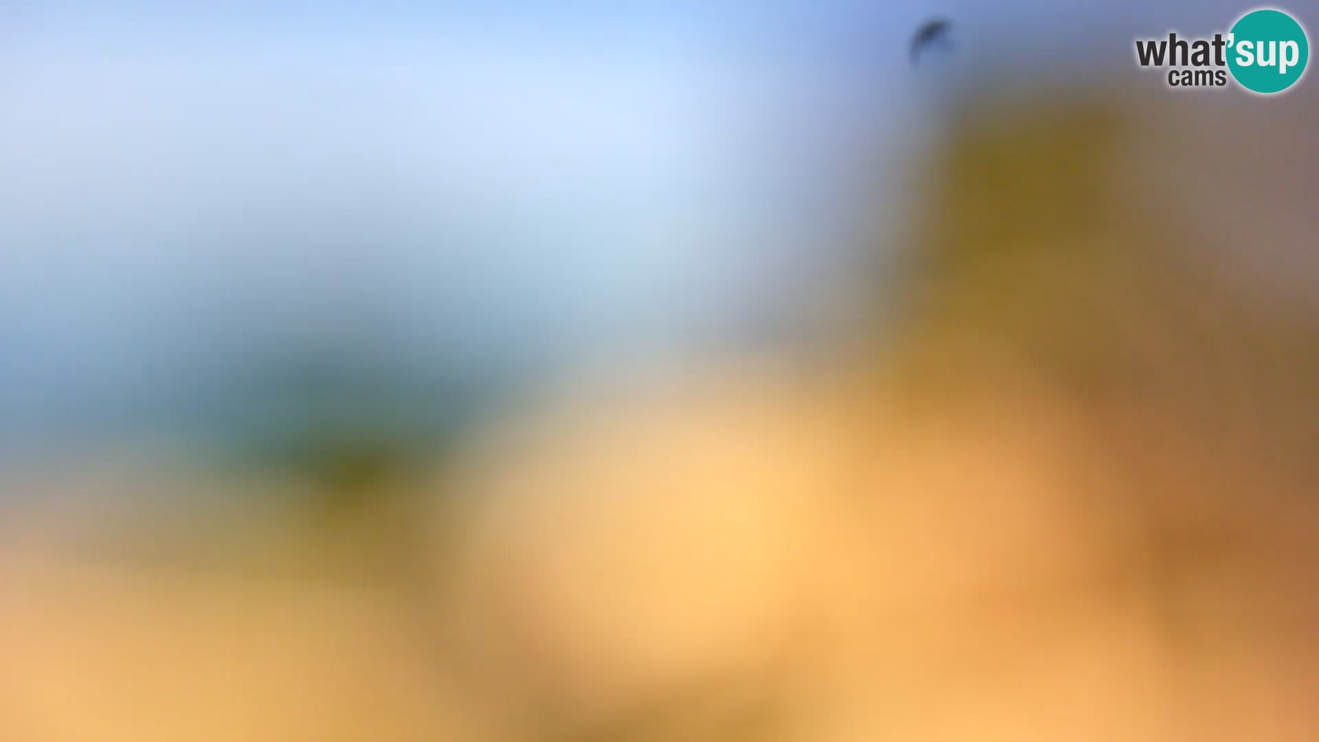 Camera en vivo Borik playa Rovinj – Istria