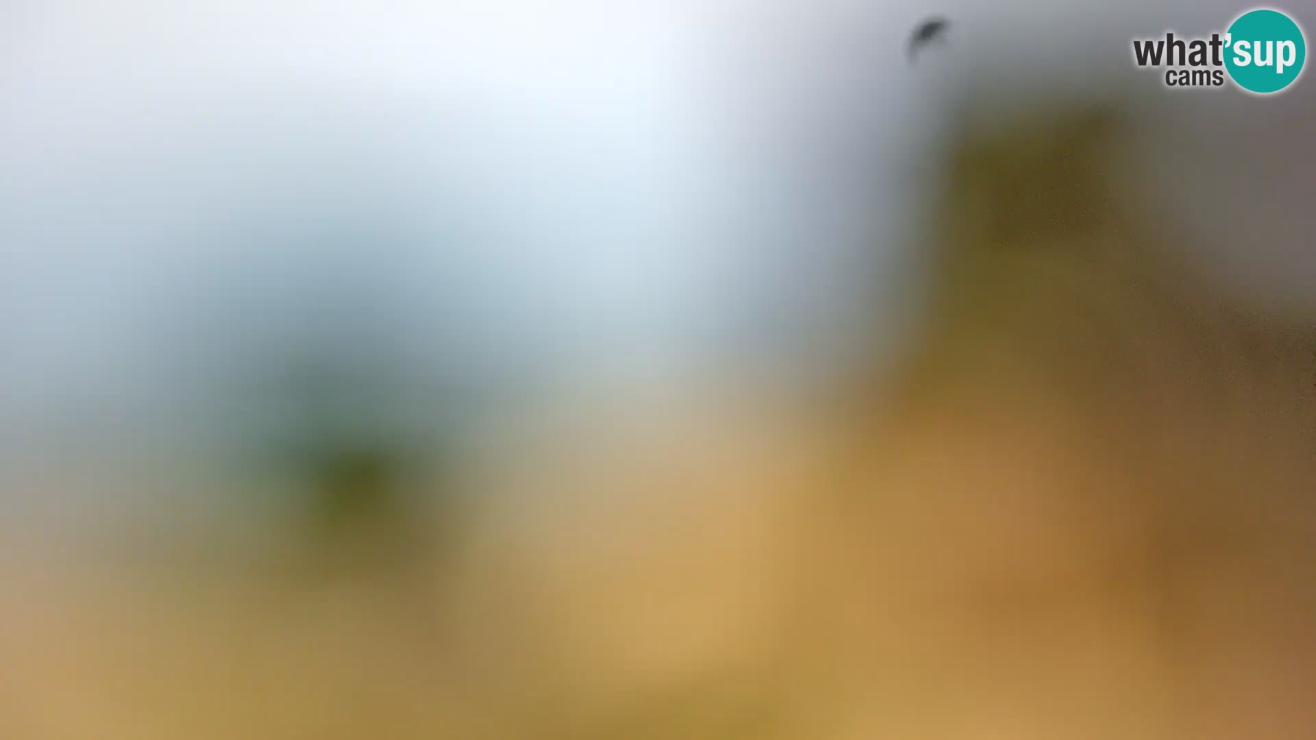 Web kamera Borik plaža Rovinj – Istra