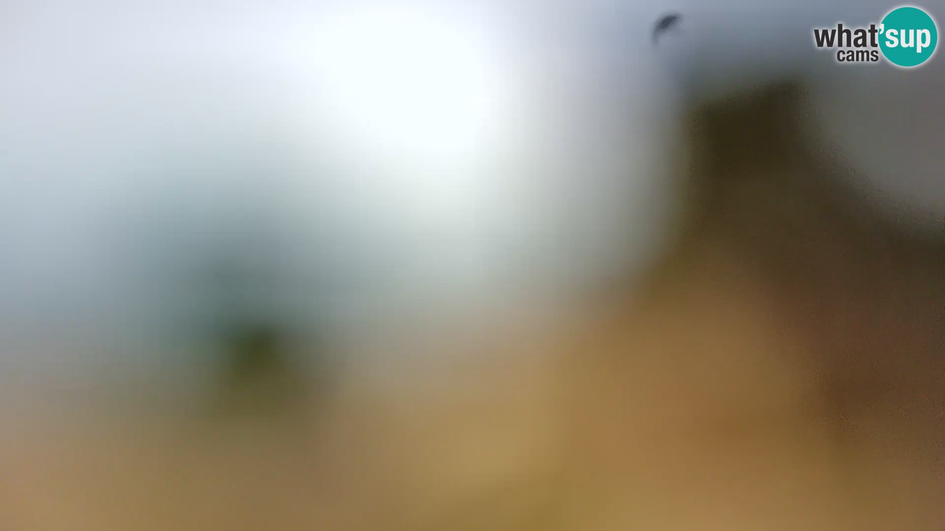 Webcam Spiaggia Borik a Rovigno – Istria