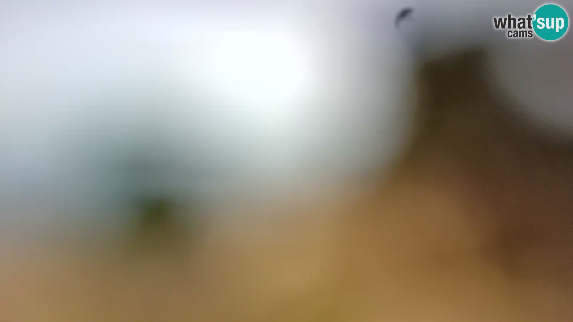 Spletna kamera plaža Borik Rovinj