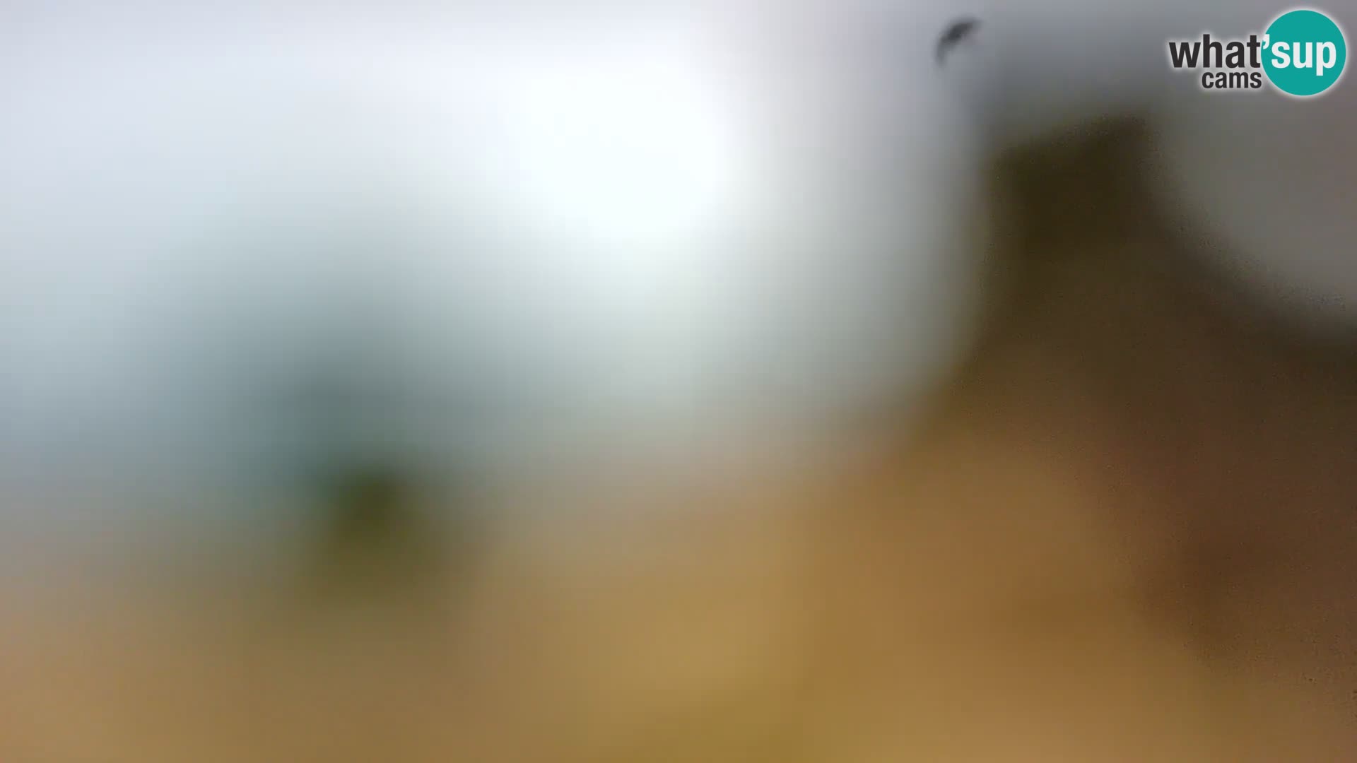 Spletna kamera plaža Borik Rovinj