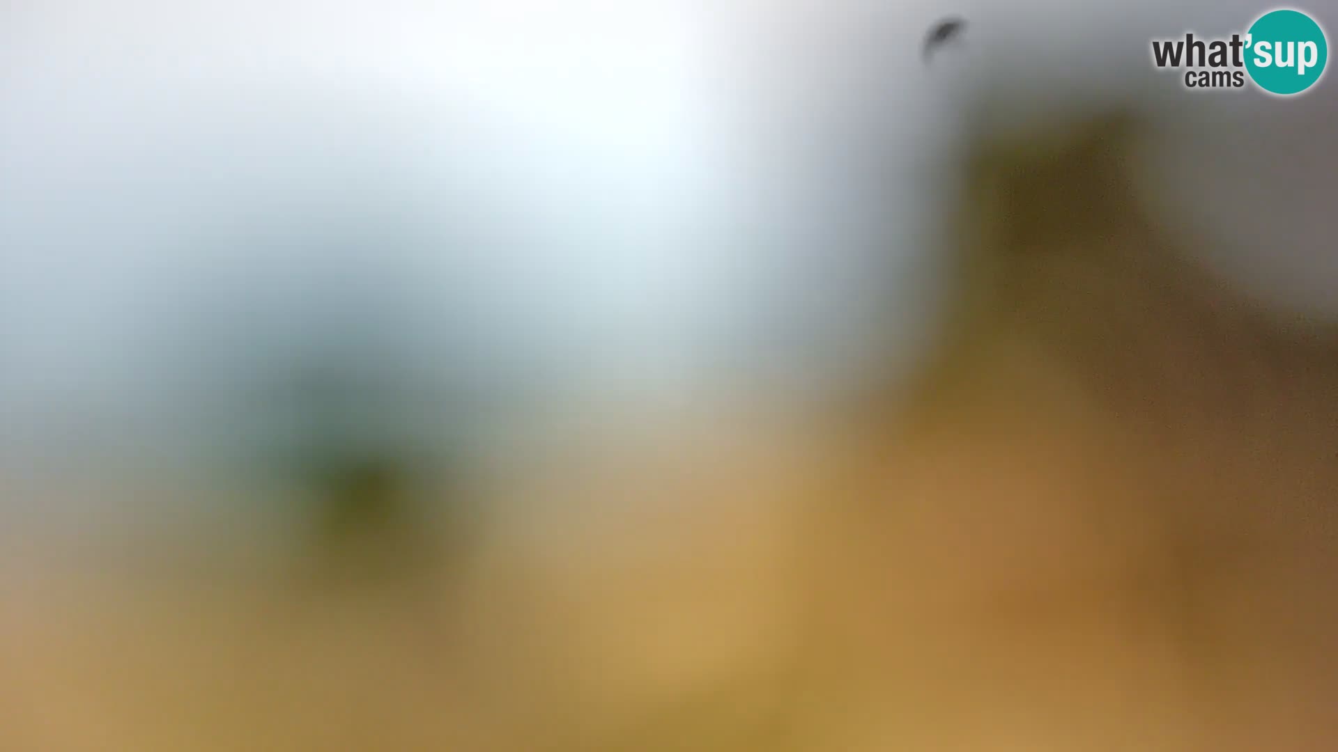 Spletna kamera plaža Borik Rovinj