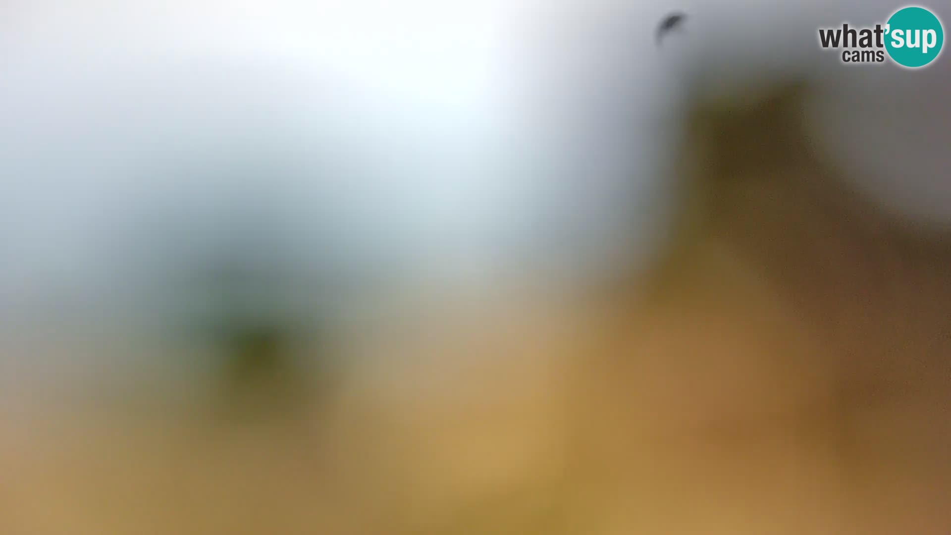 Spletna kamera plaža Borik Rovinj