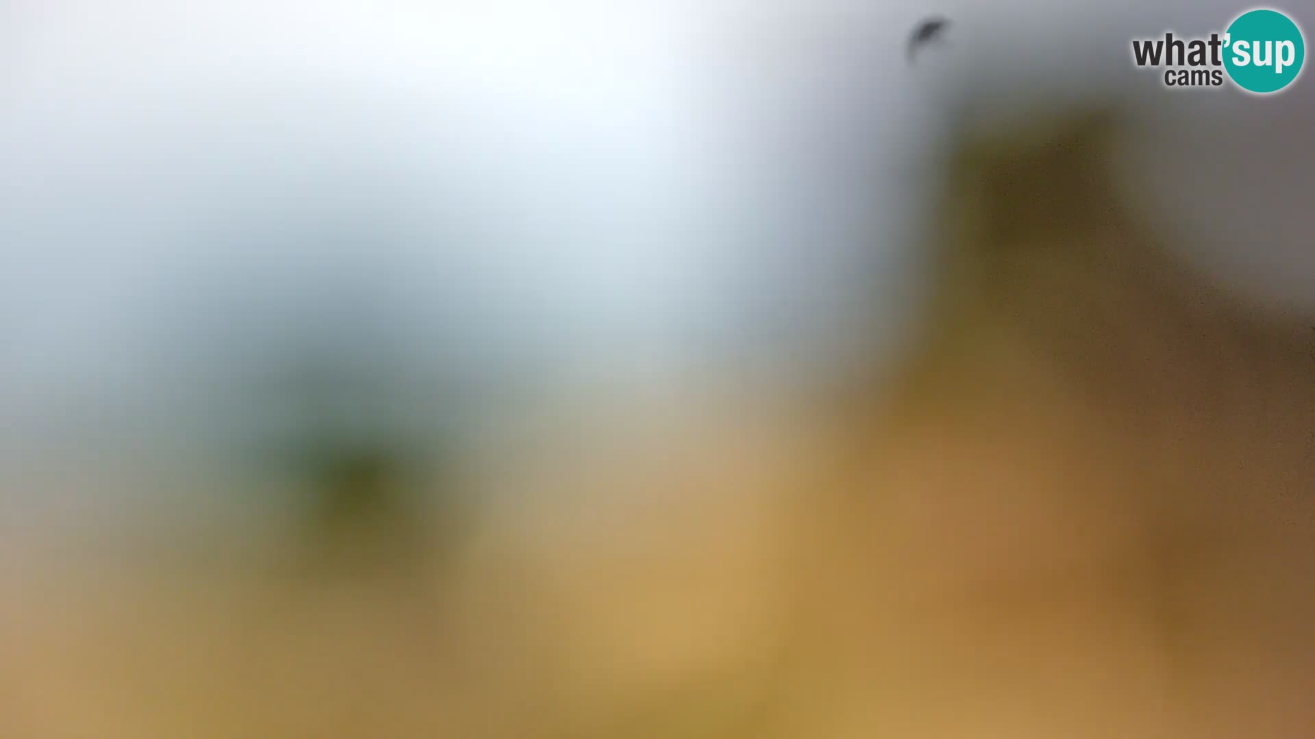 Webcam Spiaggia Borik a Rovigno – Istria