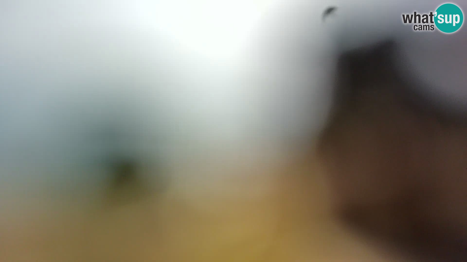 Webcam Borik beach Rovinj – Istria