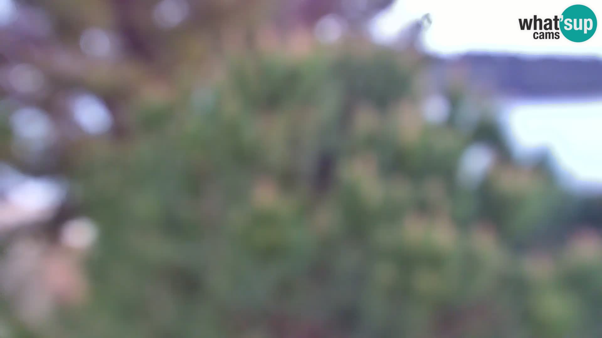 Web kamera Borik plaža Rovinj – Istra