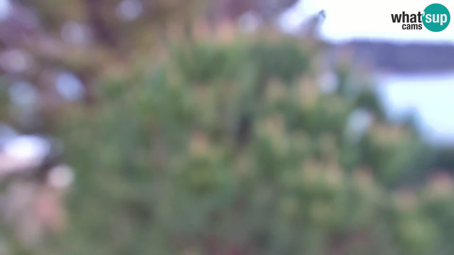 Web kamera Borik plaža Rovinj – Istra