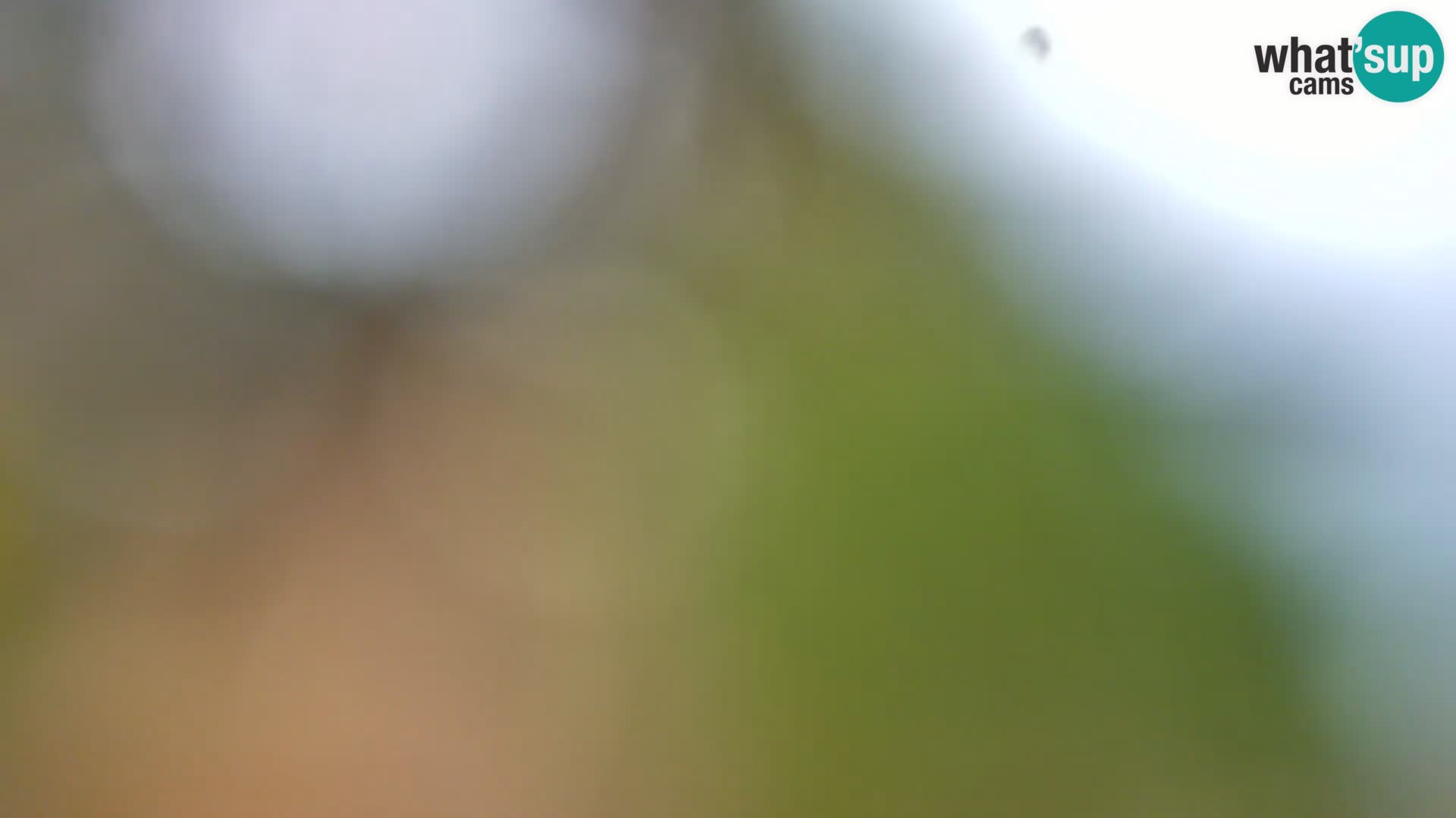 Web kamera Borik plaža Rovinj – Istra