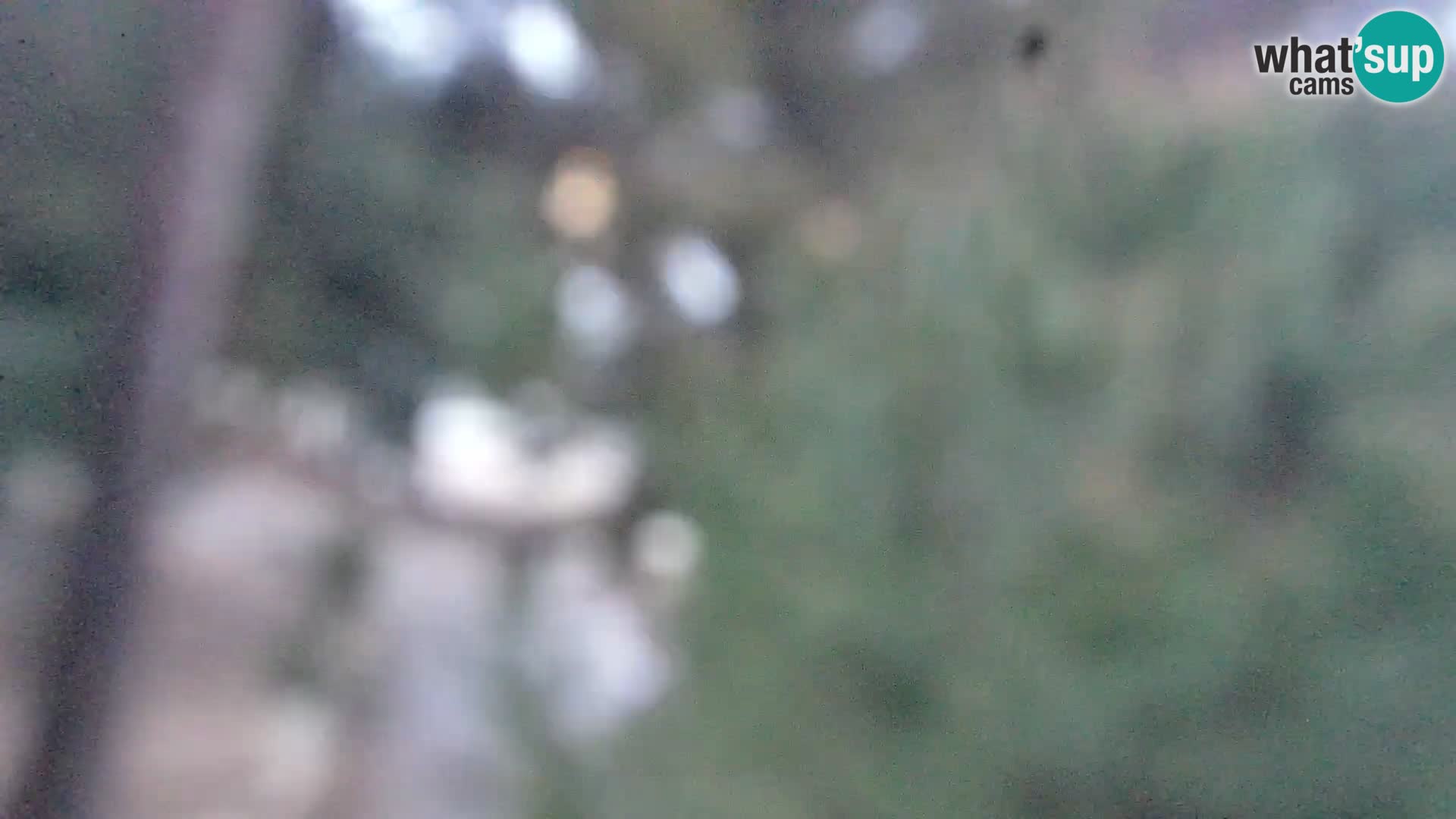 Spletna kamera plaža Borik Rovinj