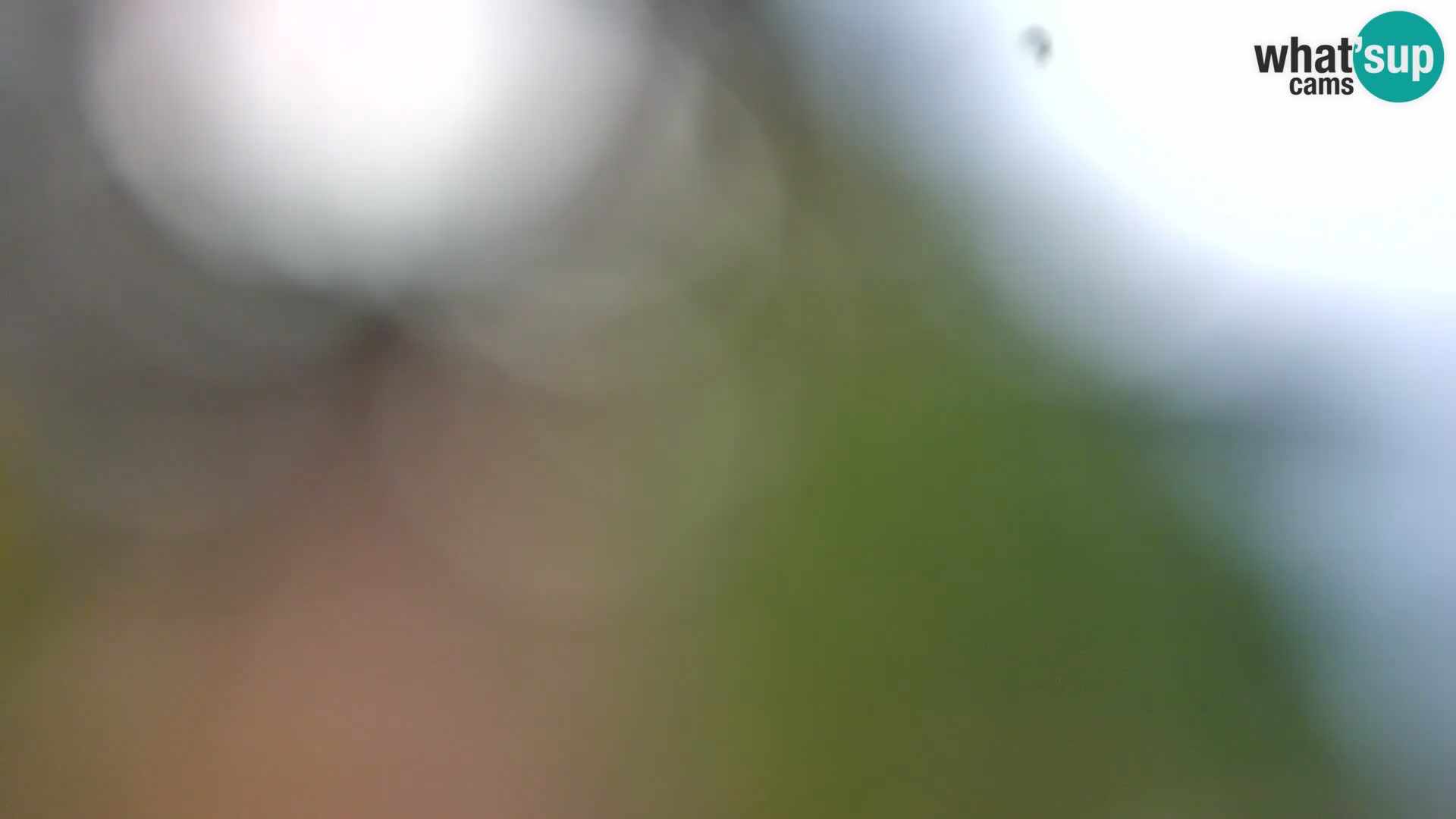 Camera en vivo Borik playa Rovinj – Istria