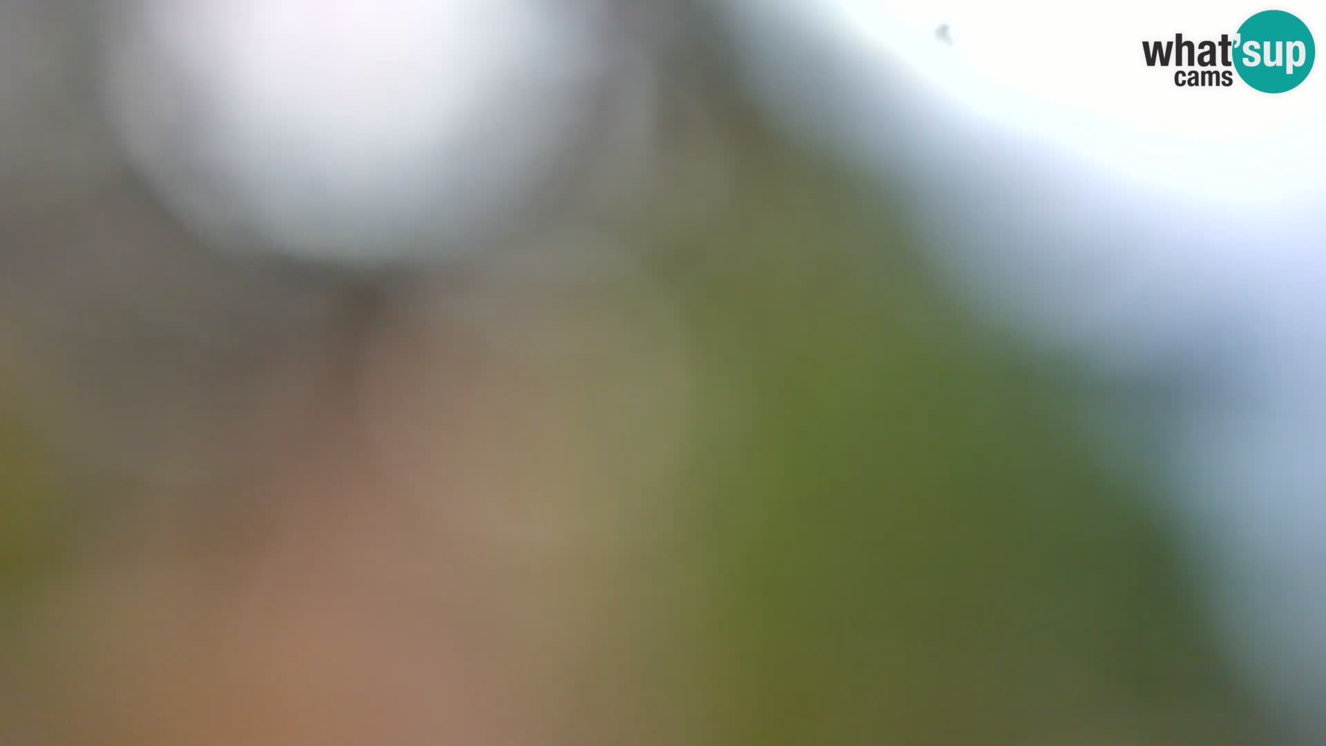 Web kamera Borik plaža Rovinj – Istra