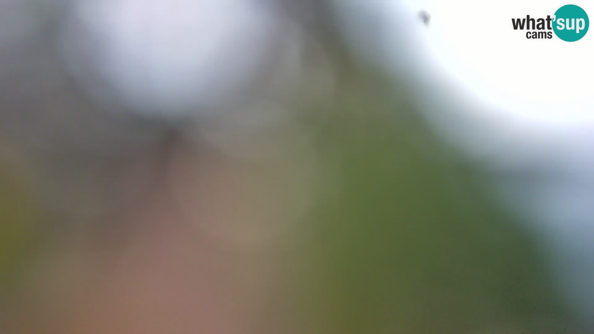 Web kamera Borik plaža Rovinj – Istra