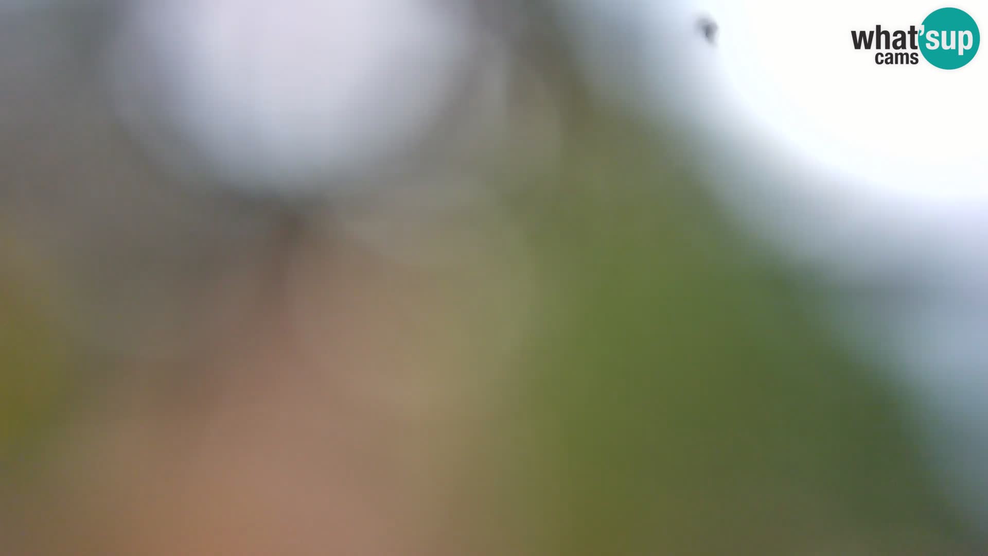 Webcam Spiaggia Borik a Rovigno – Istria