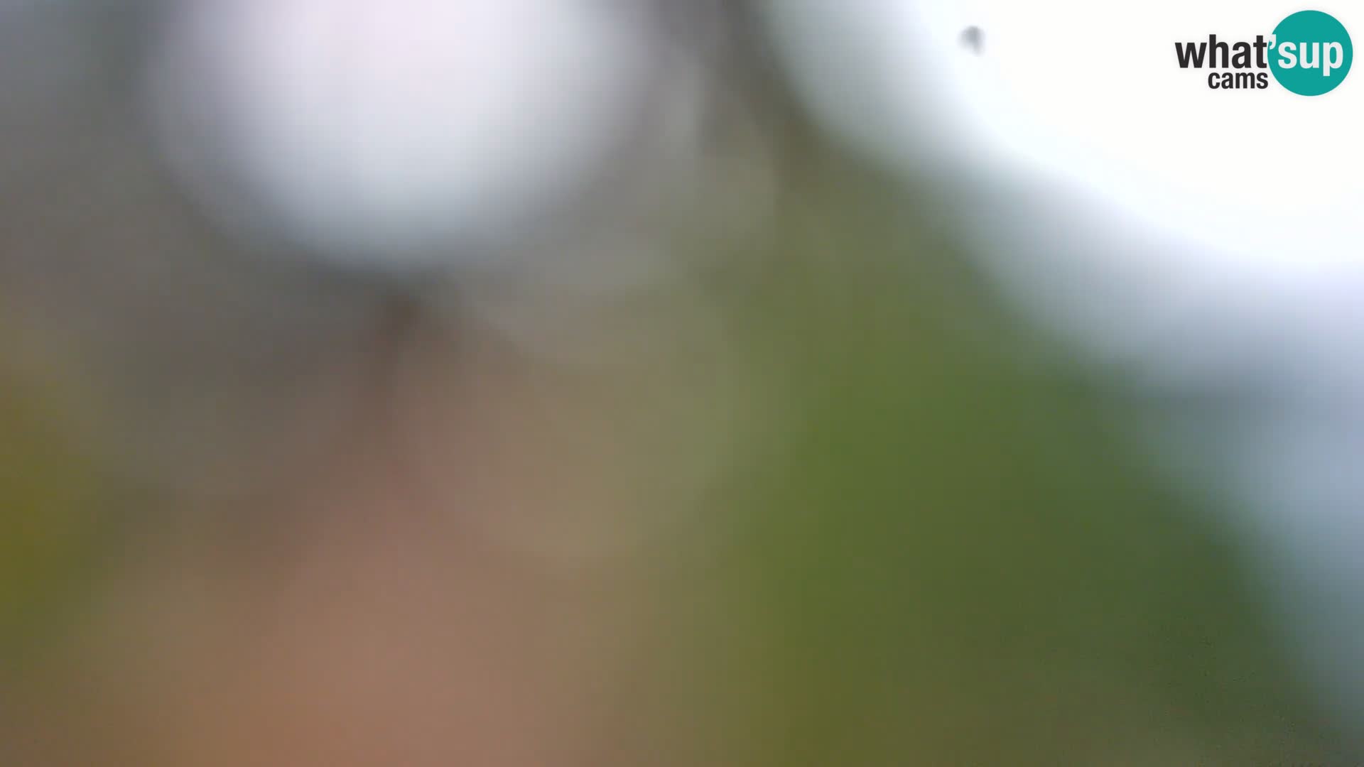 Camera en vivo Borik playa Rovinj – Istria