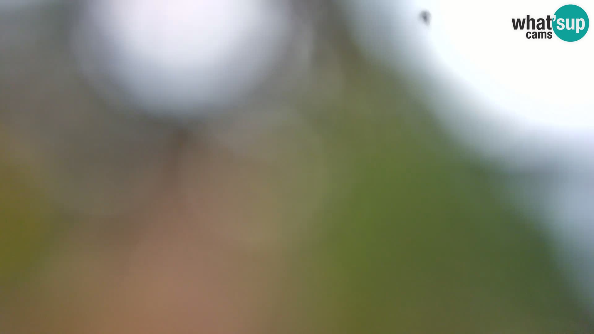 Web kamera Borik plaža Rovinj – Istra