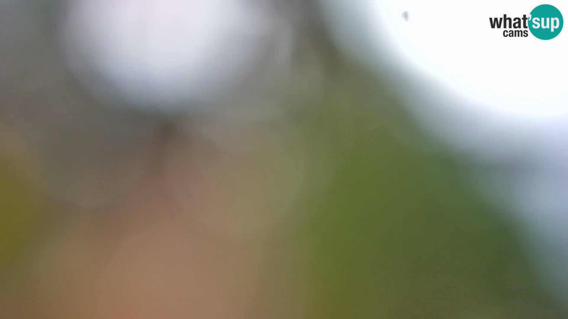 Camera en vivo Borik playa Rovinj – Istria