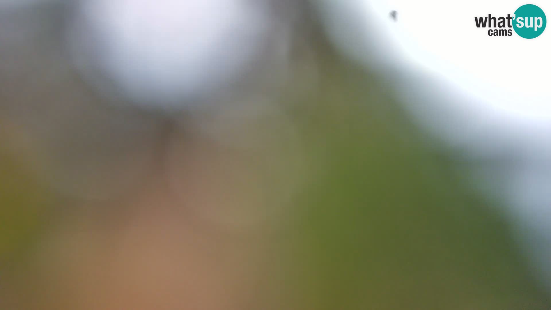 Webcam Borik Strand Rovinj – Istrien