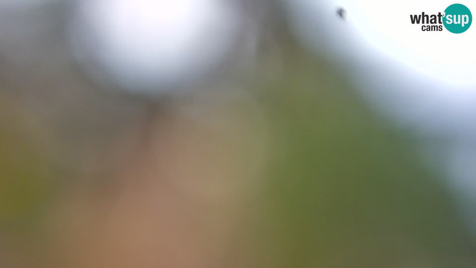 Web kamera Borik plaža Rovinj – Istra