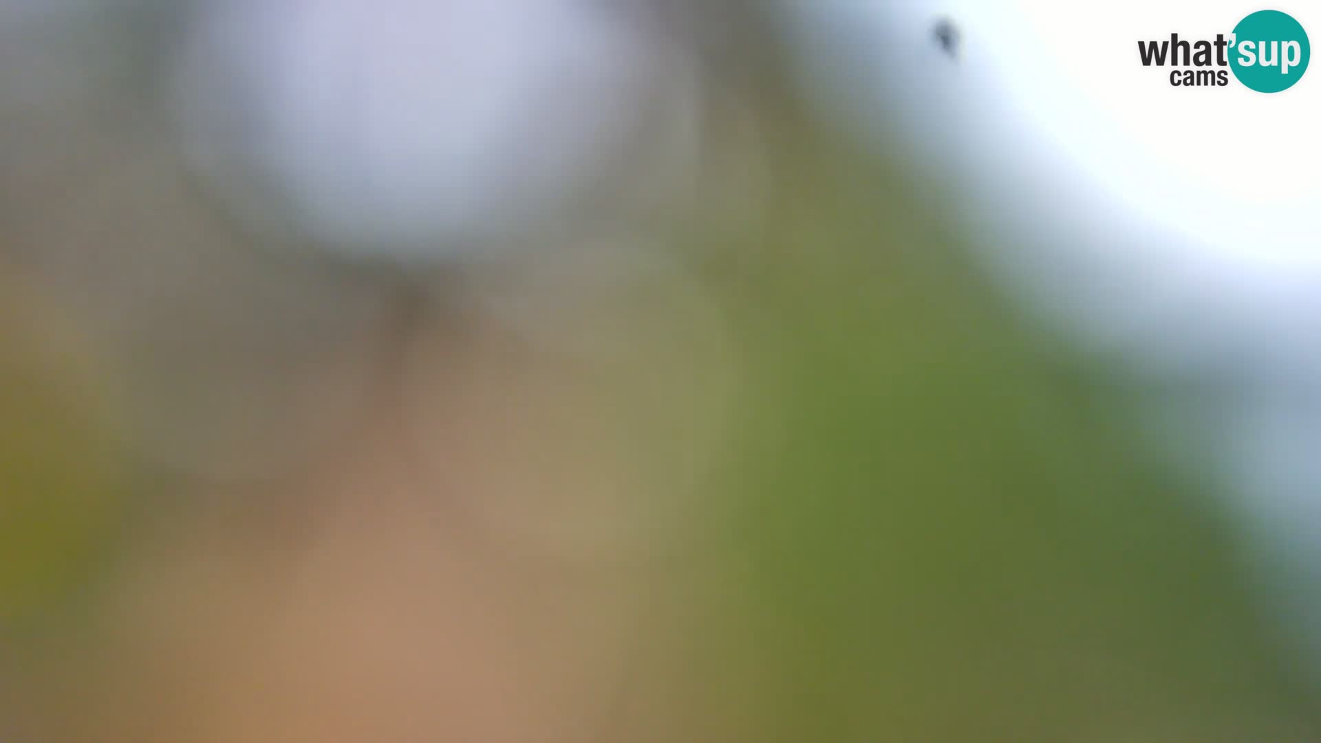 Livecam Borik plage Rovinj – Istrie