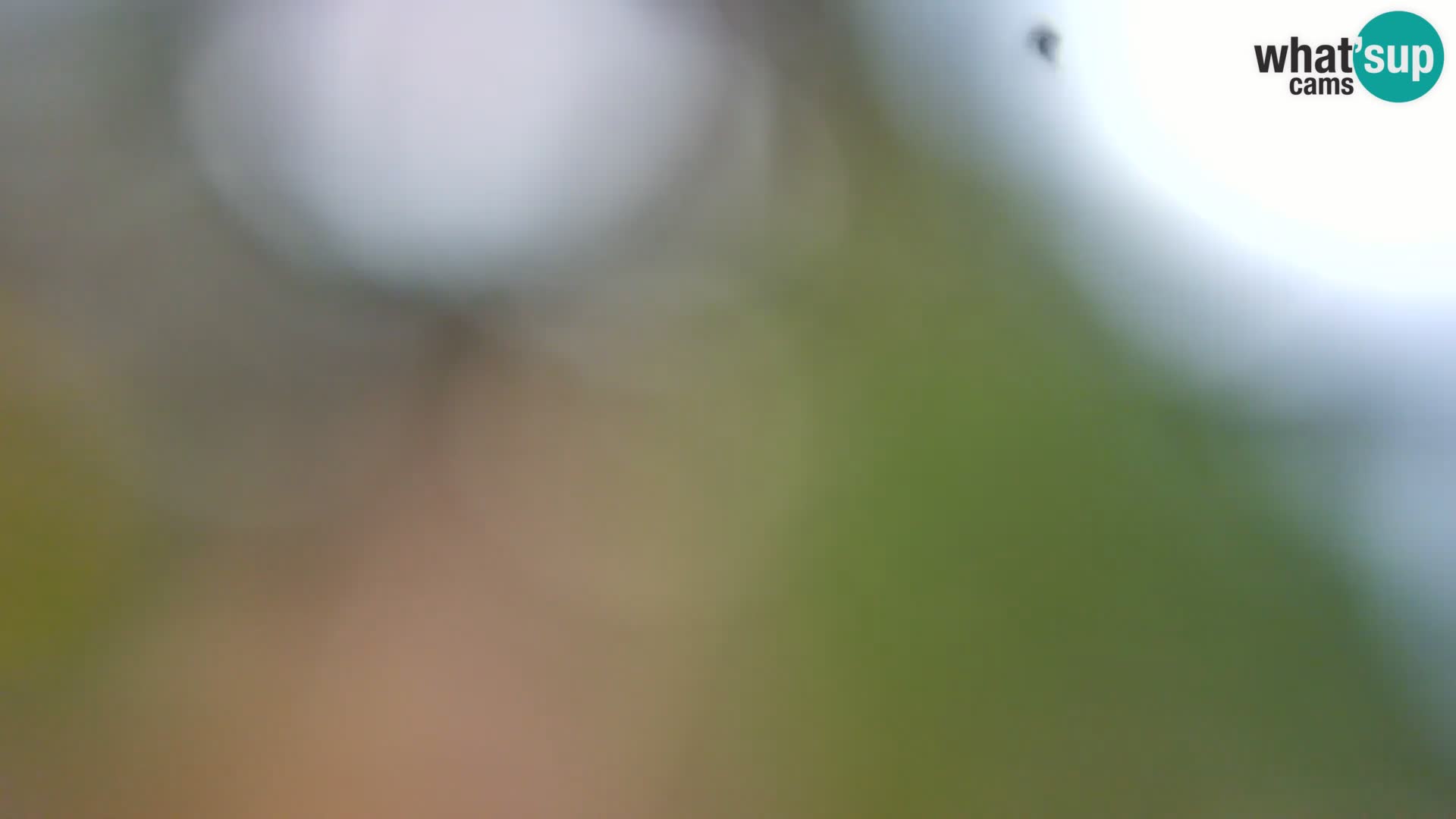 Web kamera Borik plaža Rovinj – Istra