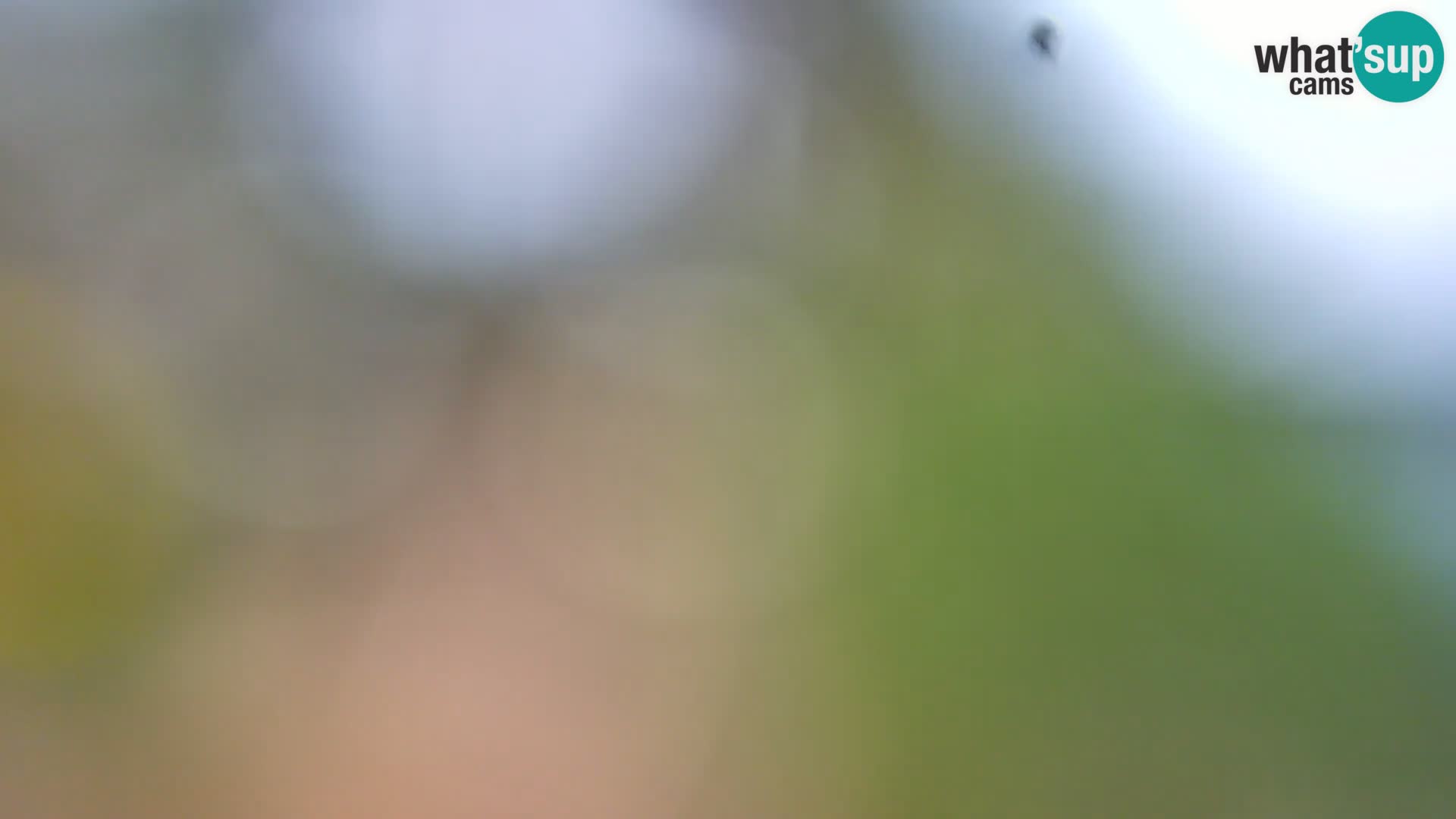 Livecam Borik plage Rovinj – Istrie