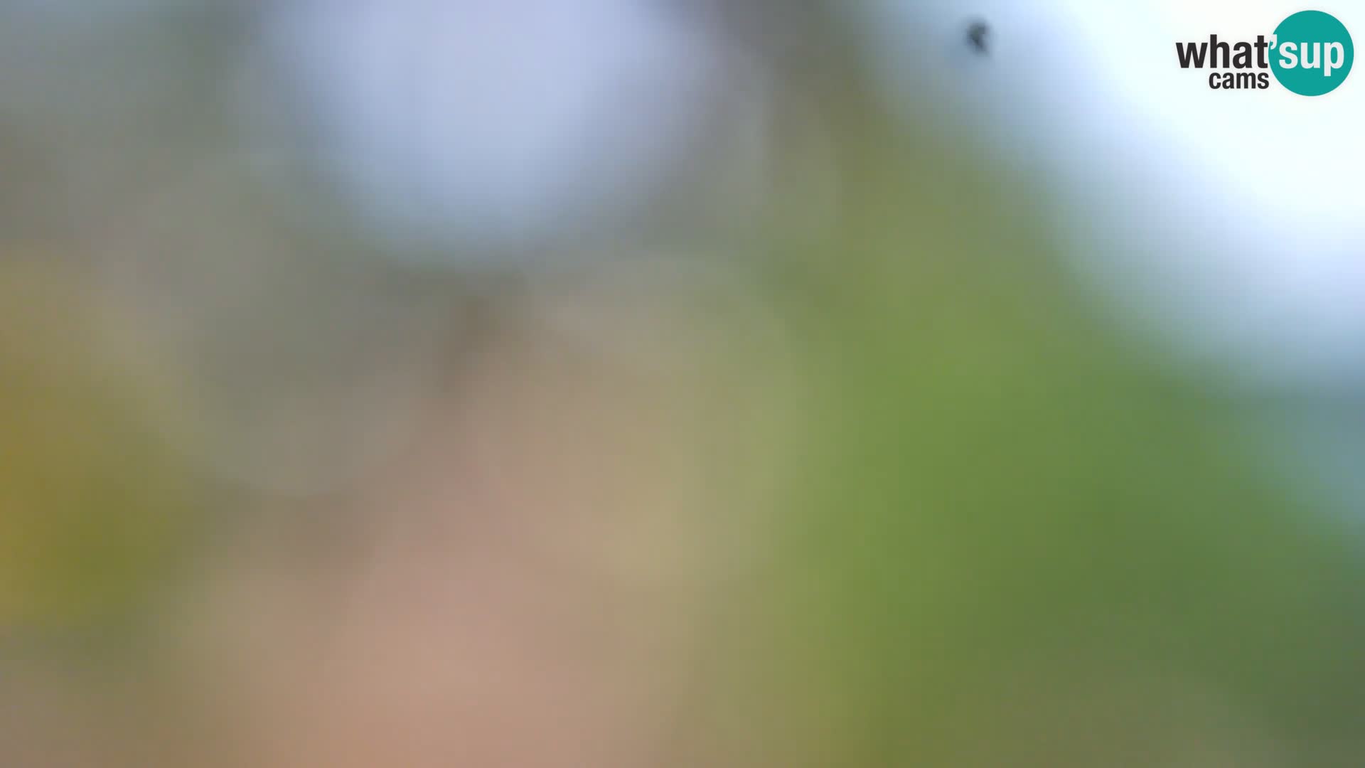 Web kamera Borik plaža Rovinj – Istra