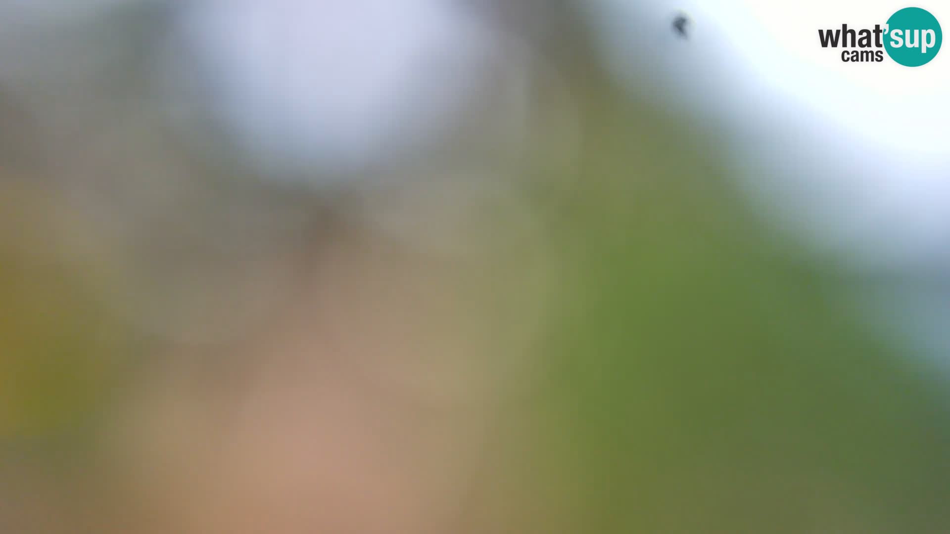 Web kamera Borik plaža Rovinj – Istra